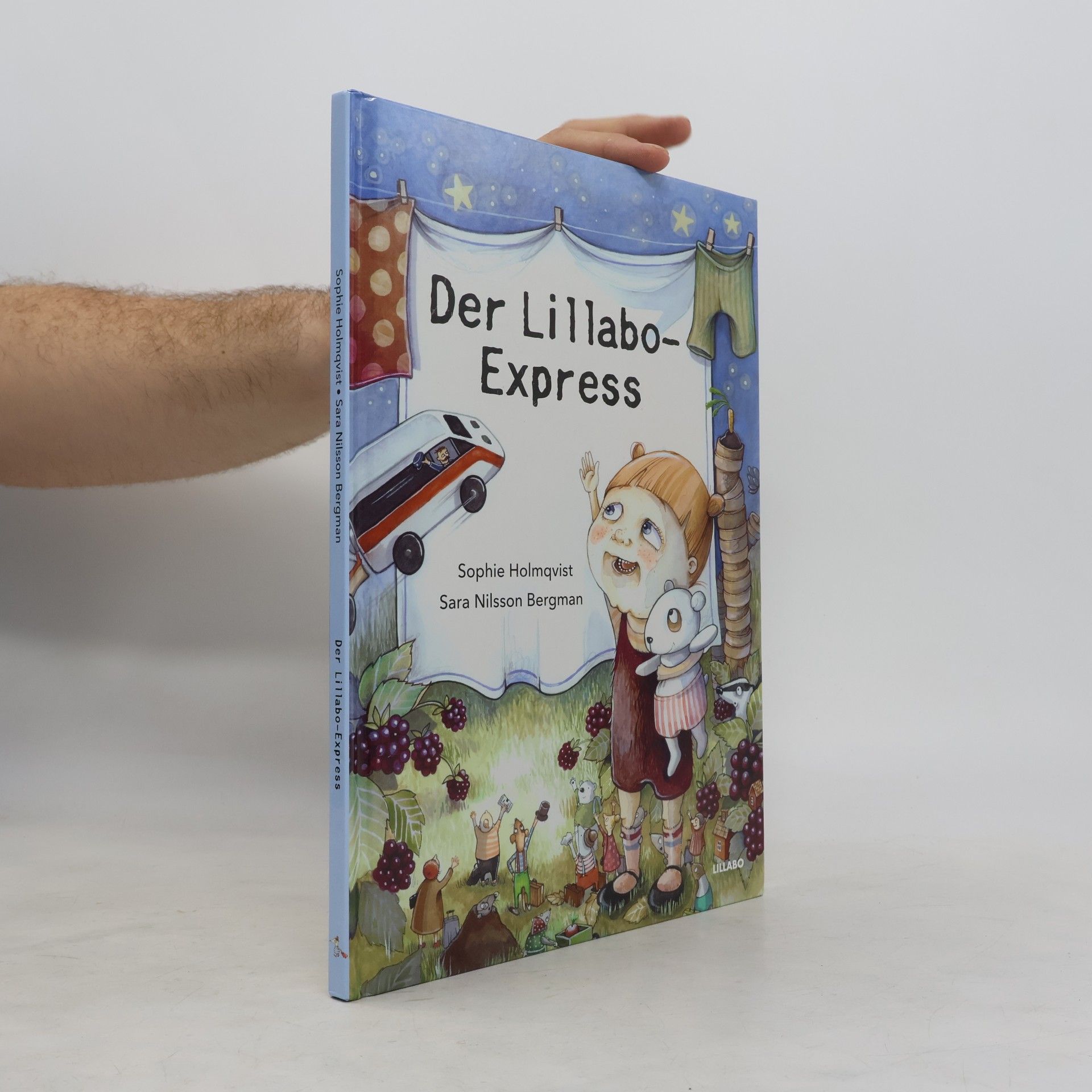 Sophie Holmqvist Der Lillabo-Express