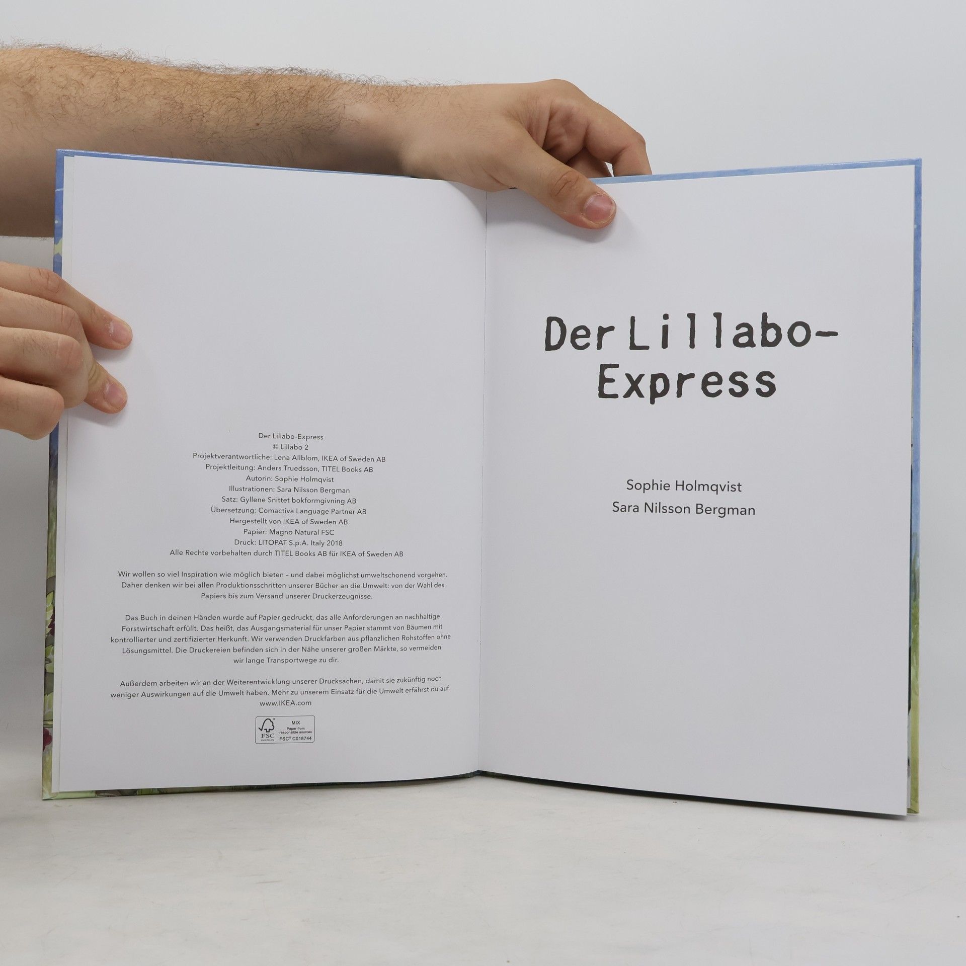 Sara Nilsson Bergman Der Lillabo-Express