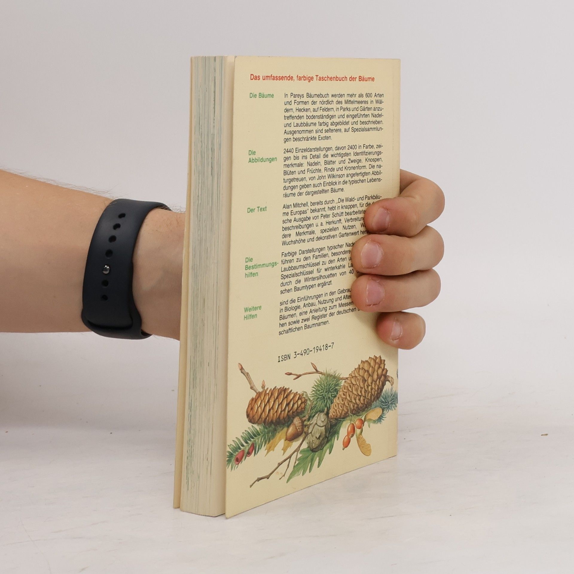 Alan F. Mitchell Pareys Buch der Bäume