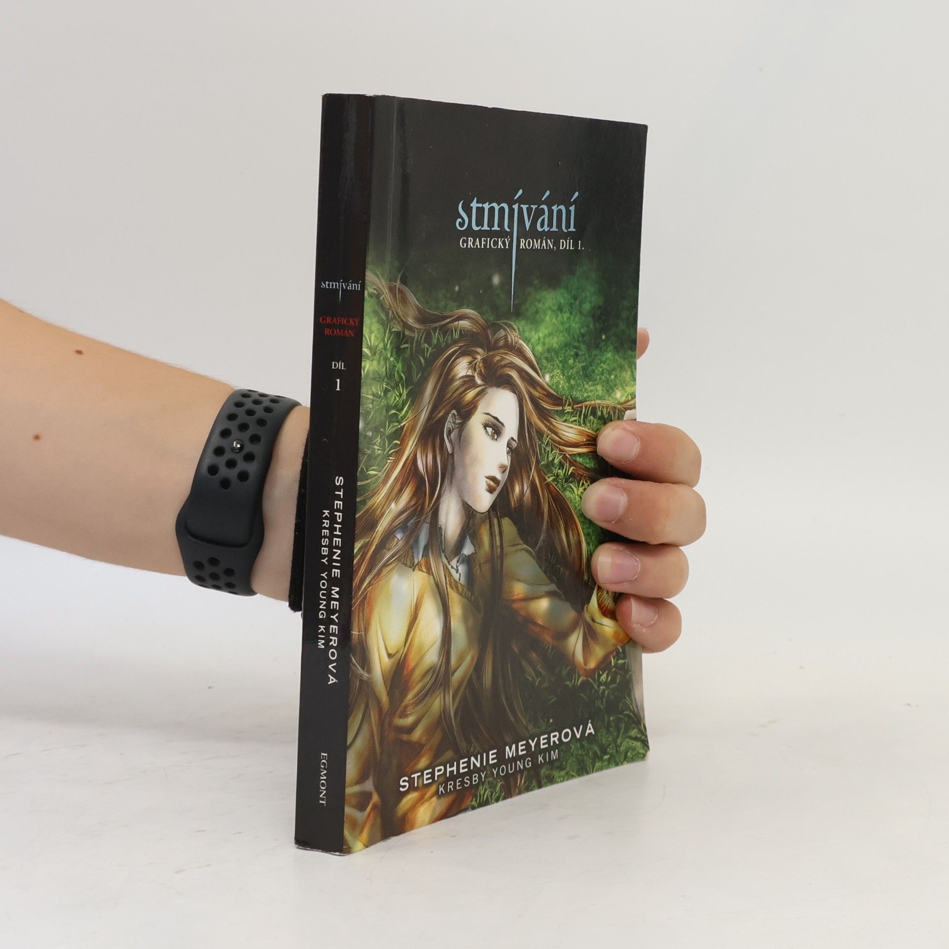 Stephenie Meyer Stmívání: Grafický román
