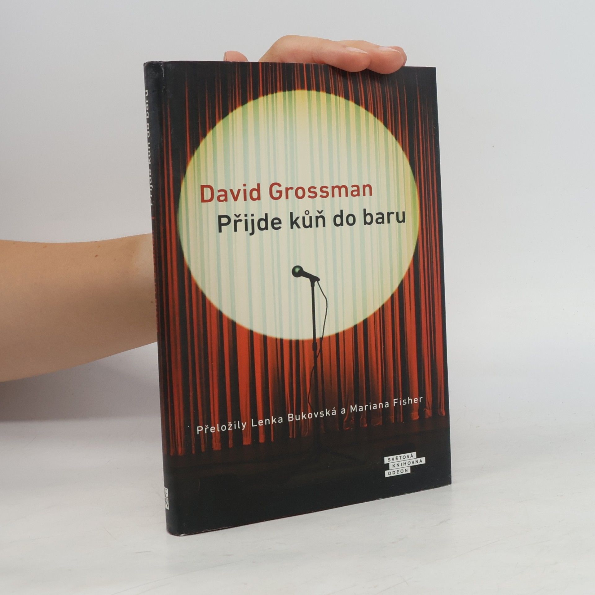 David Grossman Přijde kůň do baru