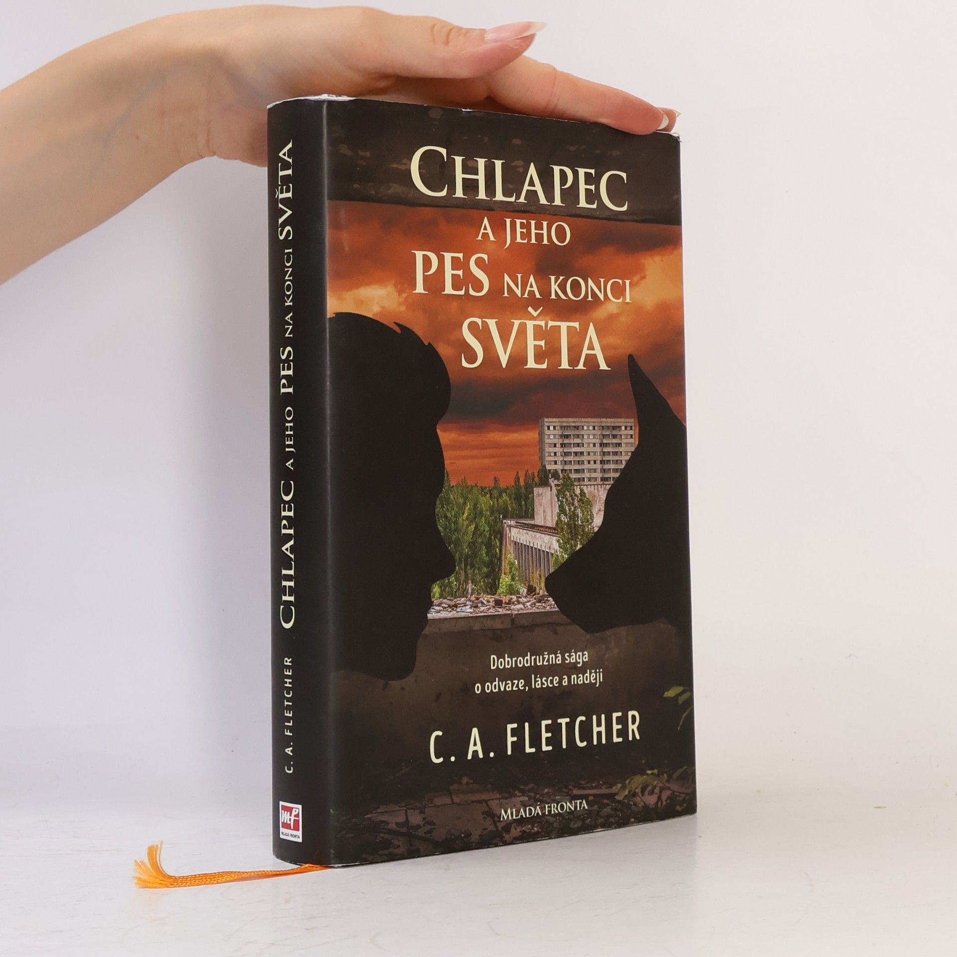 Charlie Fletcher Chlapec a jeho pes na konci světa