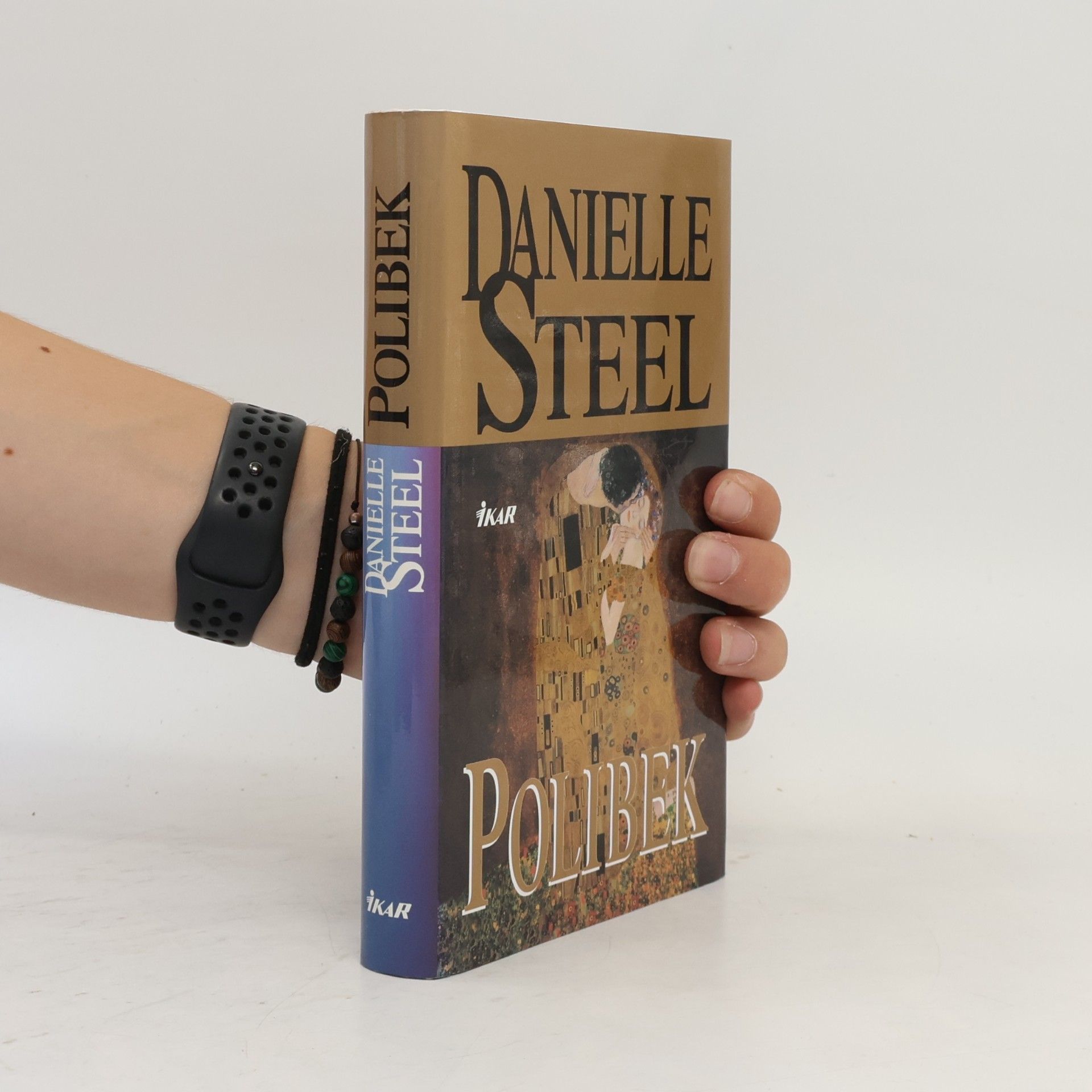 Danielle Steel Polibek