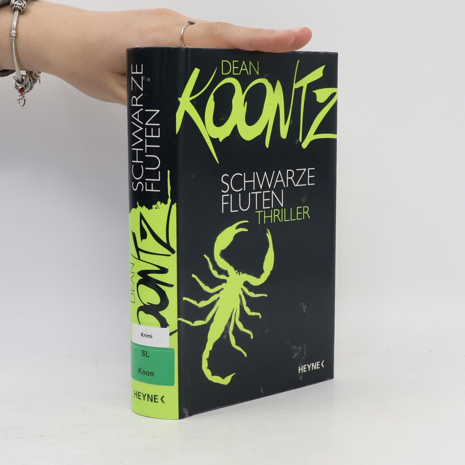 Dean Ray Koontz Schwarze Fluten
