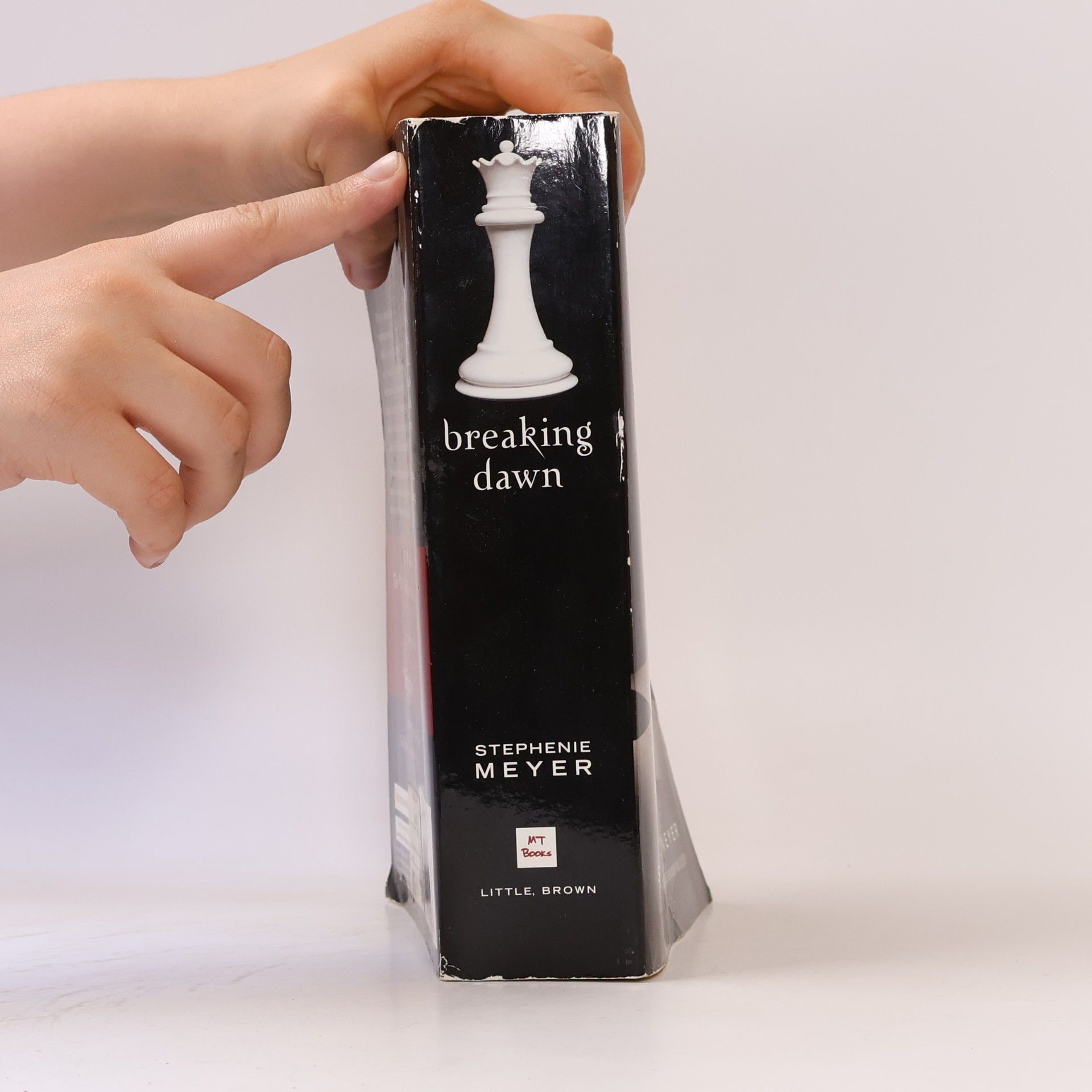 Stephenie Meyer Breaking Dawn