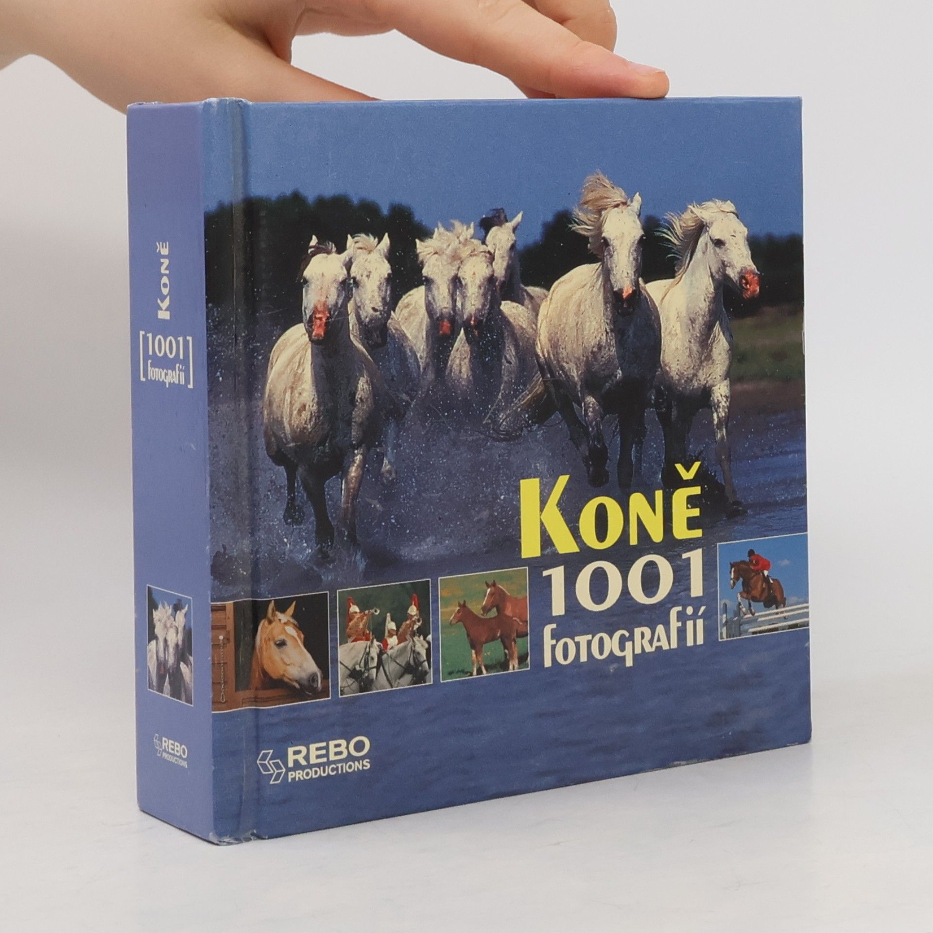 Kolektiv autorů Koně. 1001 fotografií