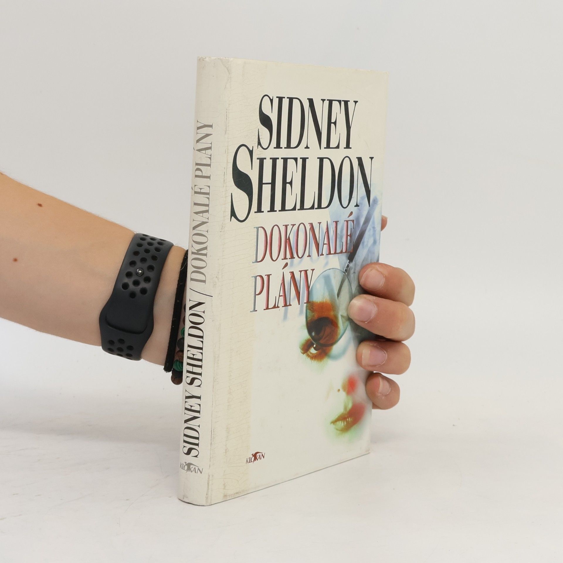 Sidney Sheldon Dokonalé plány