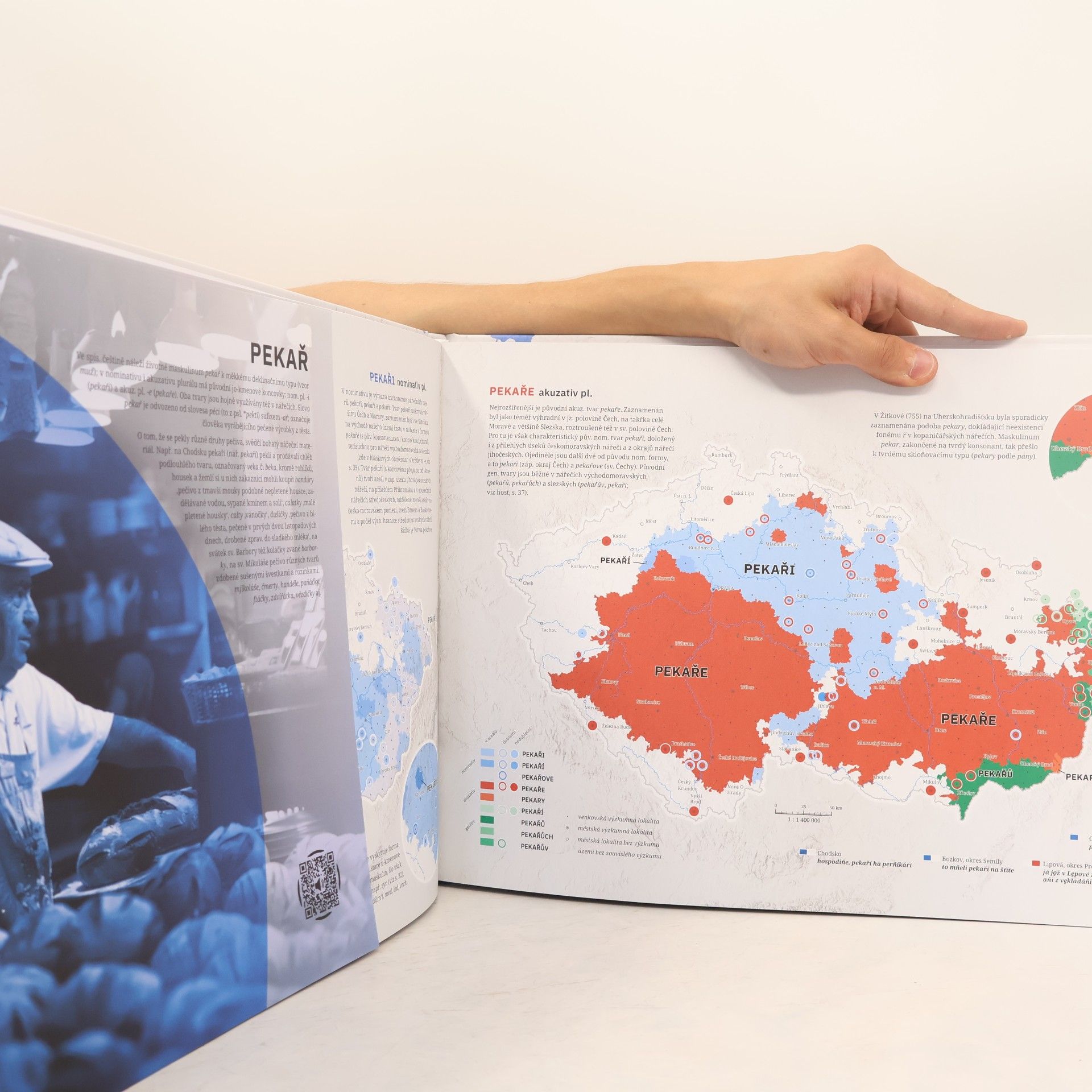 Martina Ireinová Atlas nářečí českého jazyka