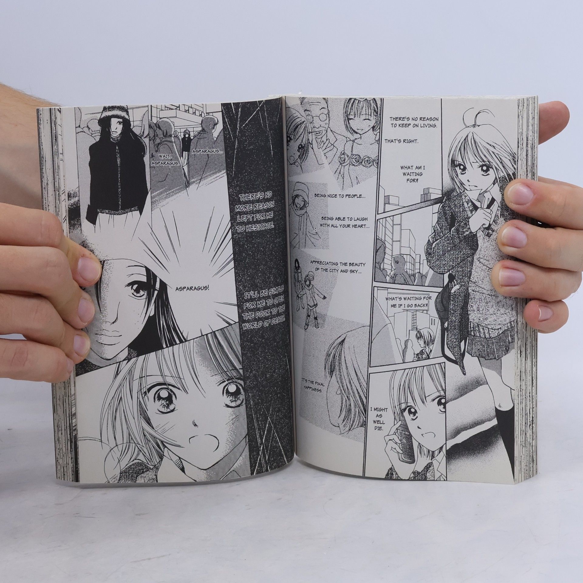 Reiko Momochi Confidential Confessions