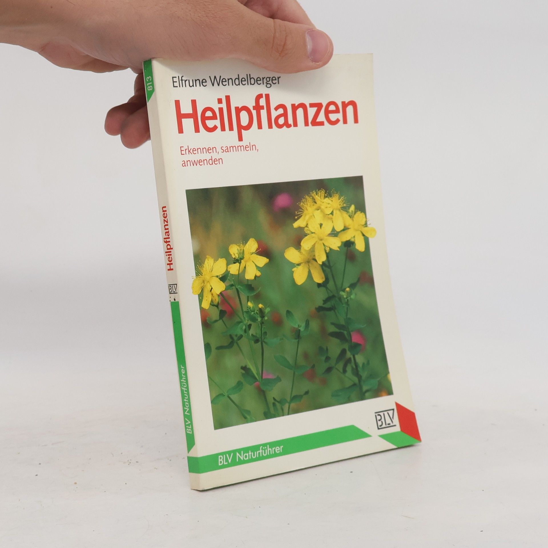 Elfrune Wendelberger Heilpflanzen