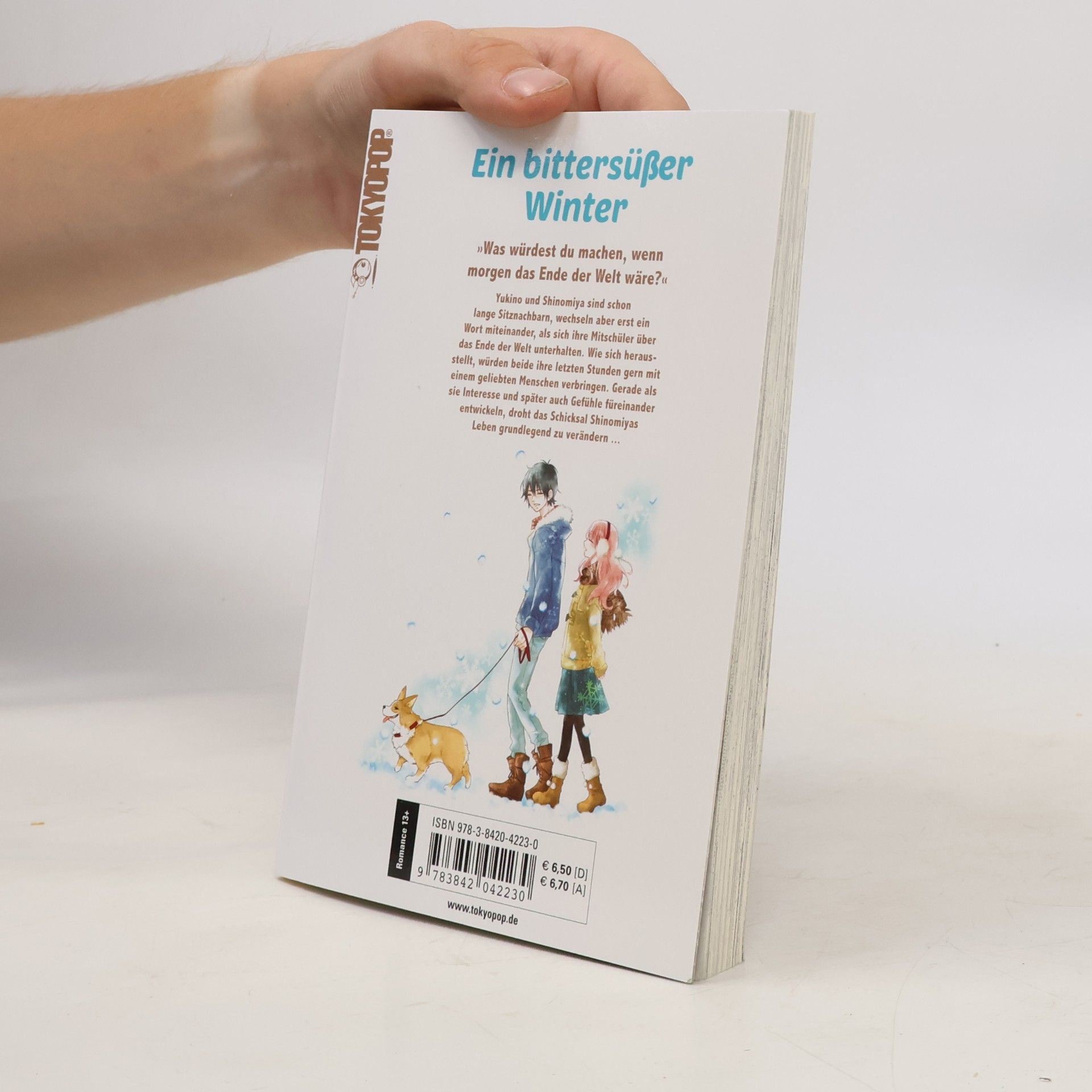 Chiyori Ein bittersüßer Winter