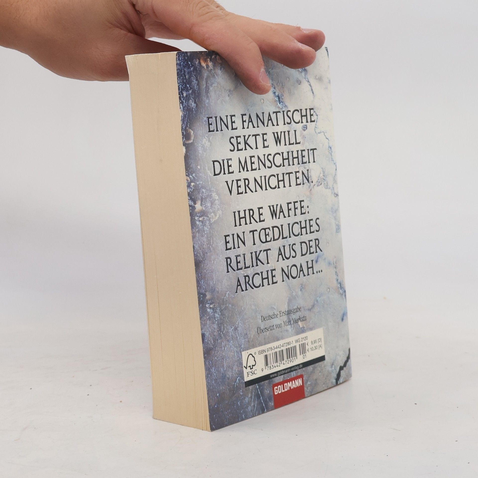 Boyd Morrison Die Arche