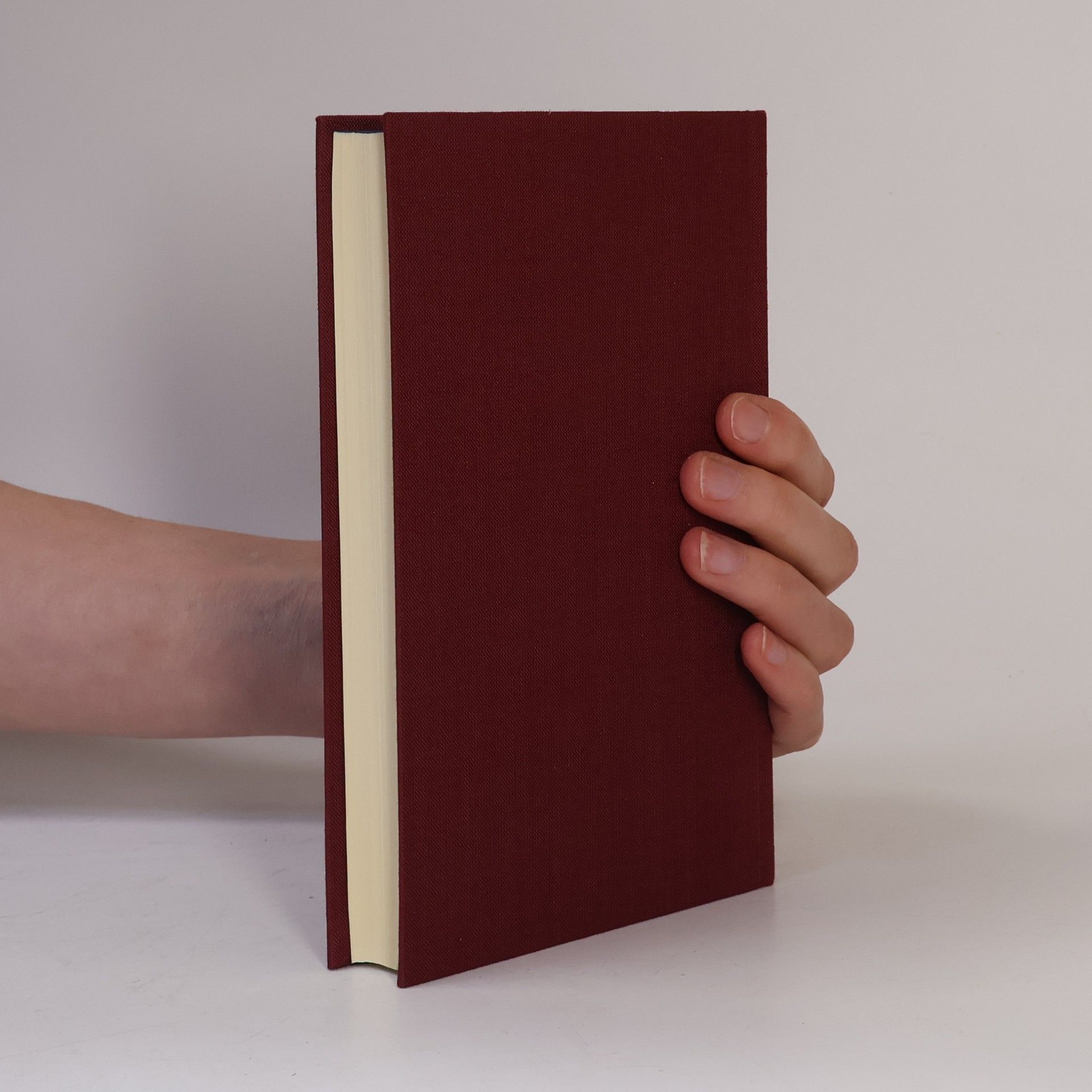 Various authors Lichtenberg 6