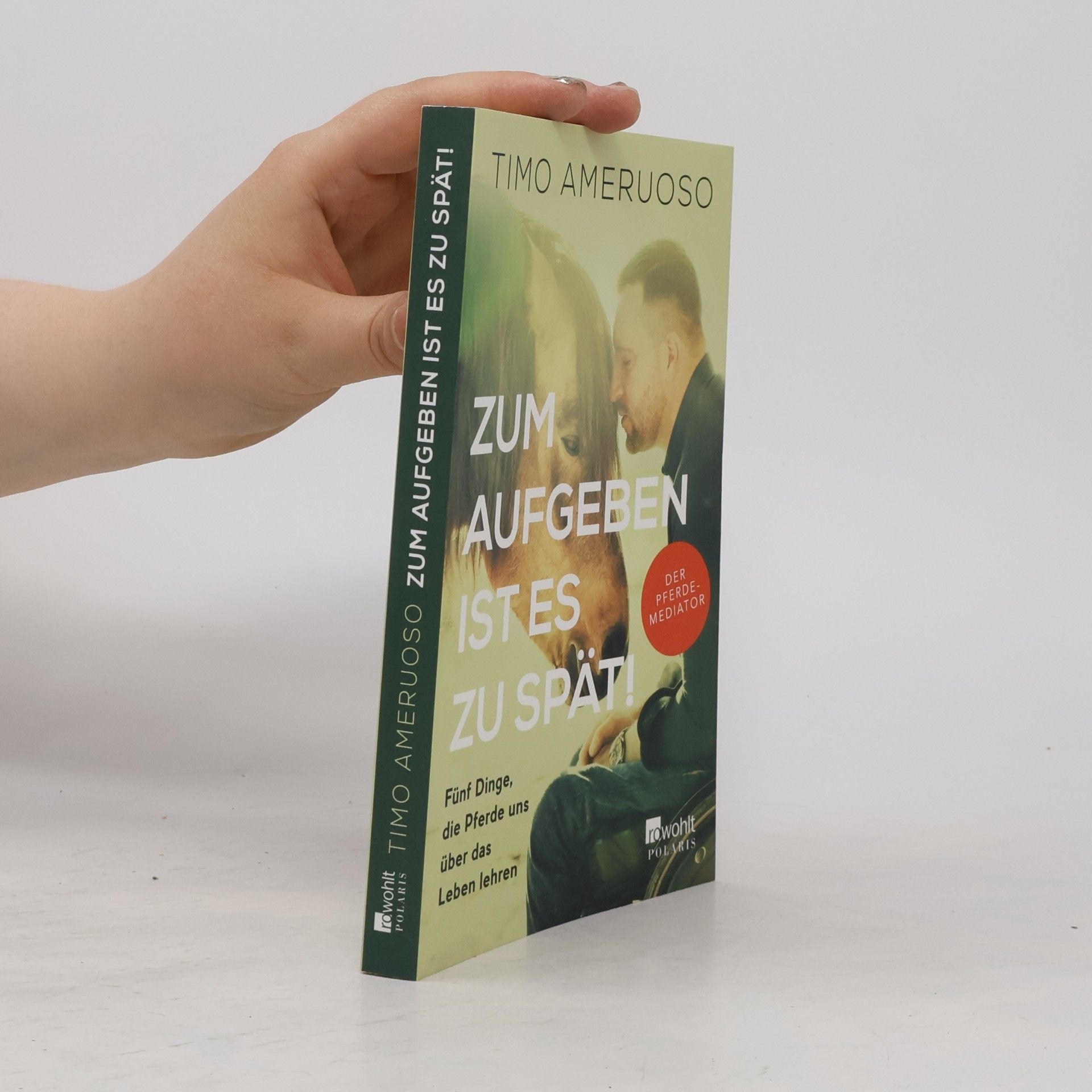 Timo Ameruoso Zum Aufgeben ist es zu spät!