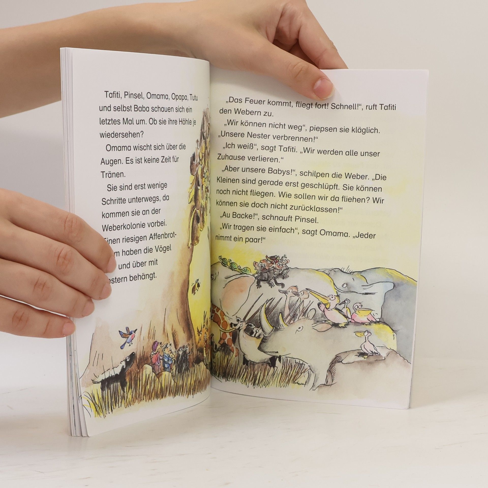 Julia Boehme Tafiti und das grosse Feuer