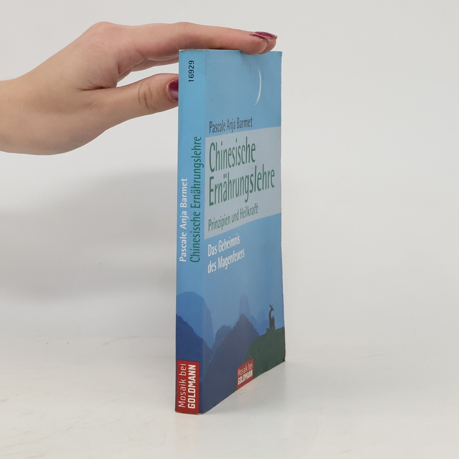 Pascale Anja Barmet Chinesische Ernährungslehre