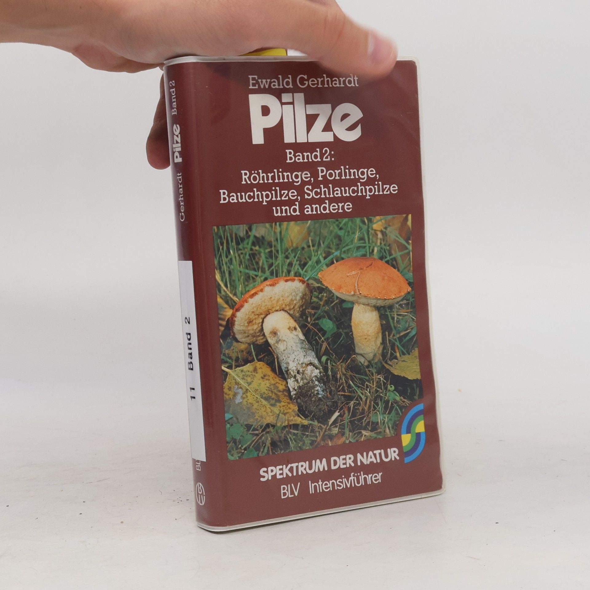 John Jacob Schlicher Pilze 2