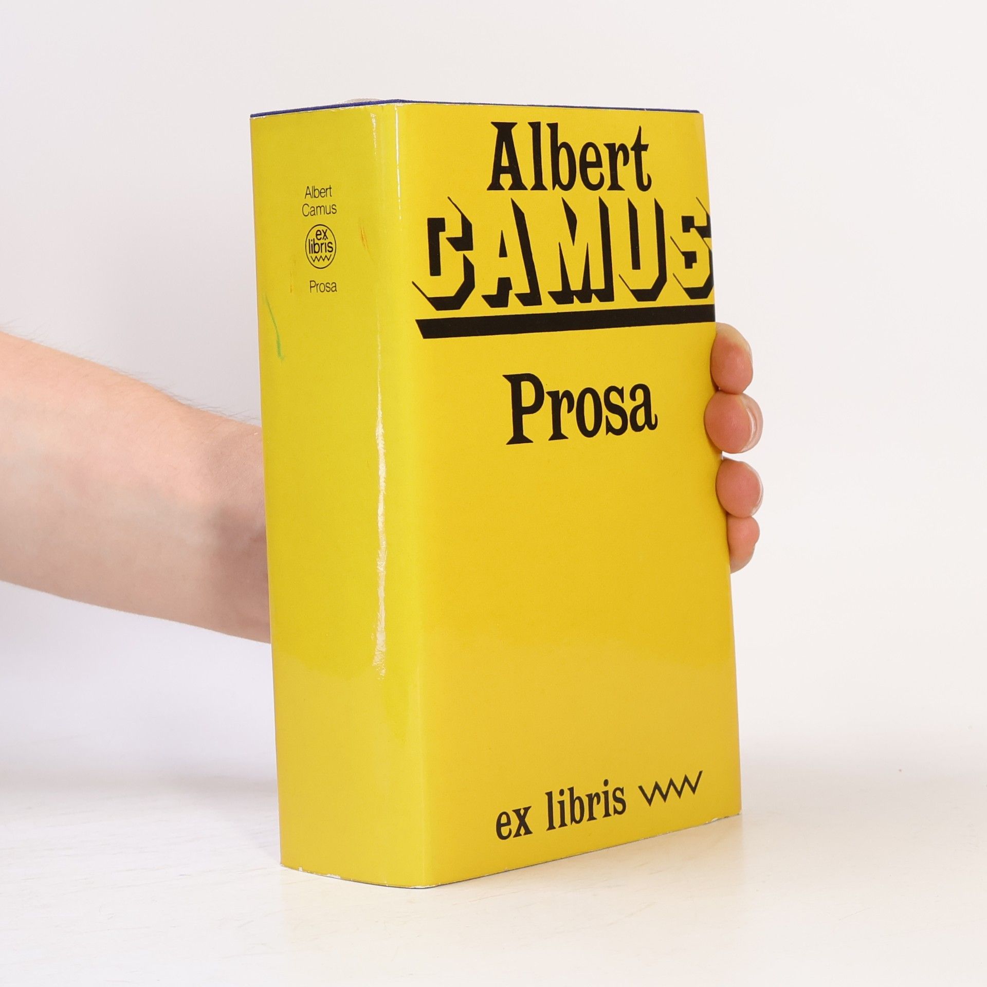 Albert Gamus Prosa