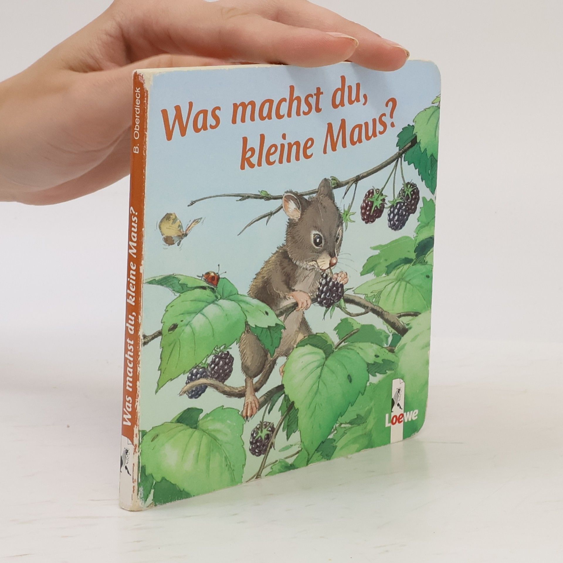 Various authors Was machst du, kleine Maus?