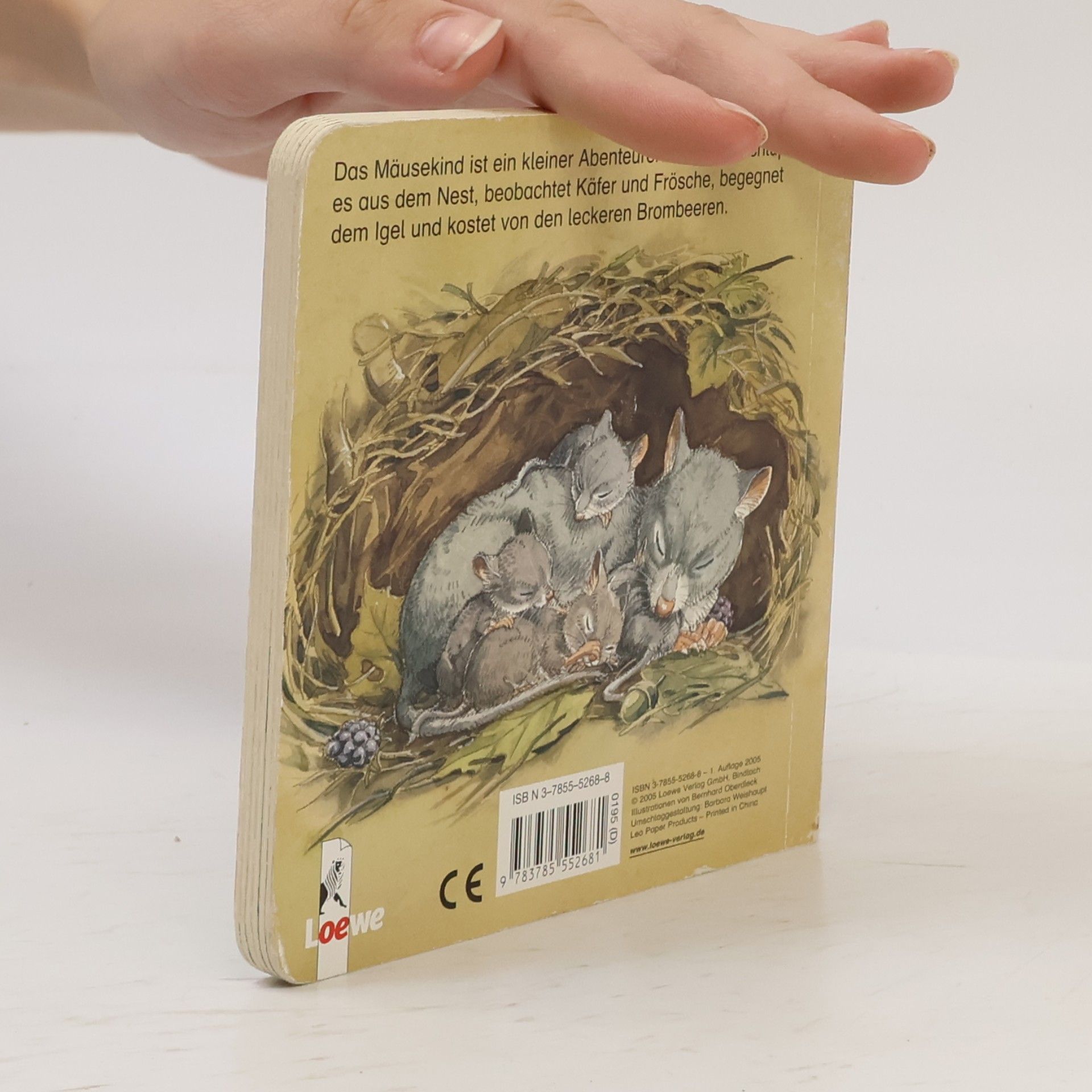 Was machst du, kleine Maus?