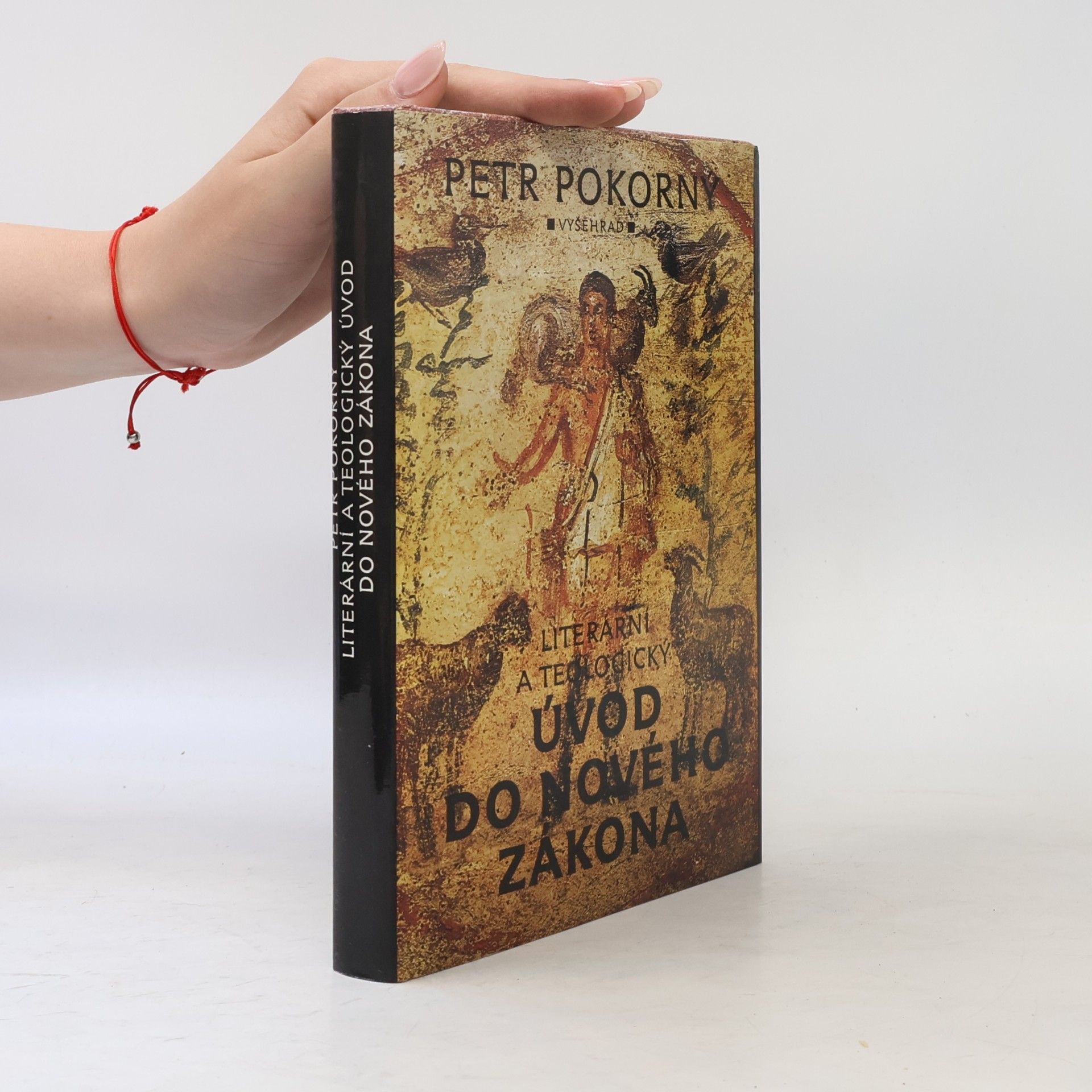 Petr Pokorný Literární a teologický úvod do Nového zákona