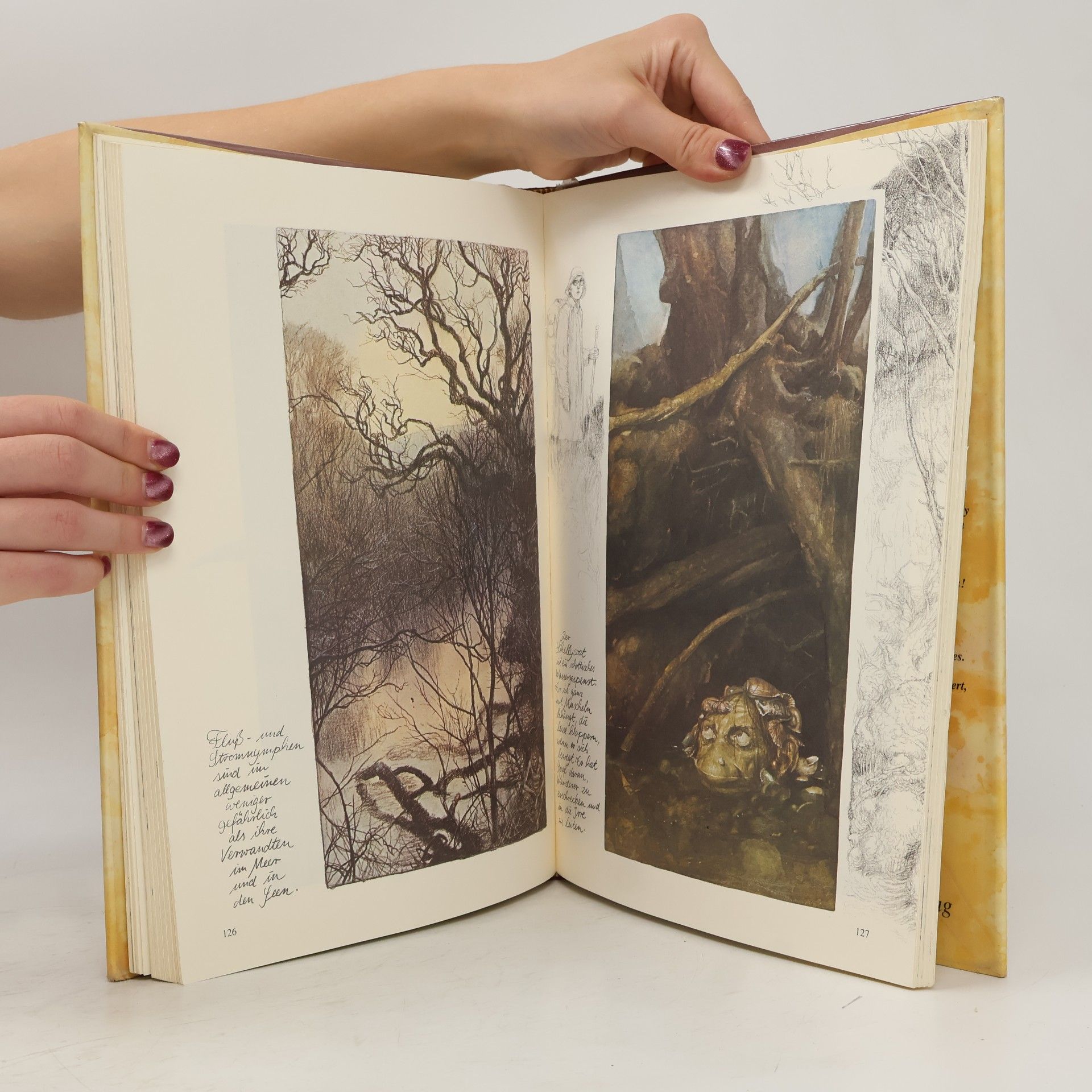 Brian Froud Von Elfen, Goblins, Spukgestalten