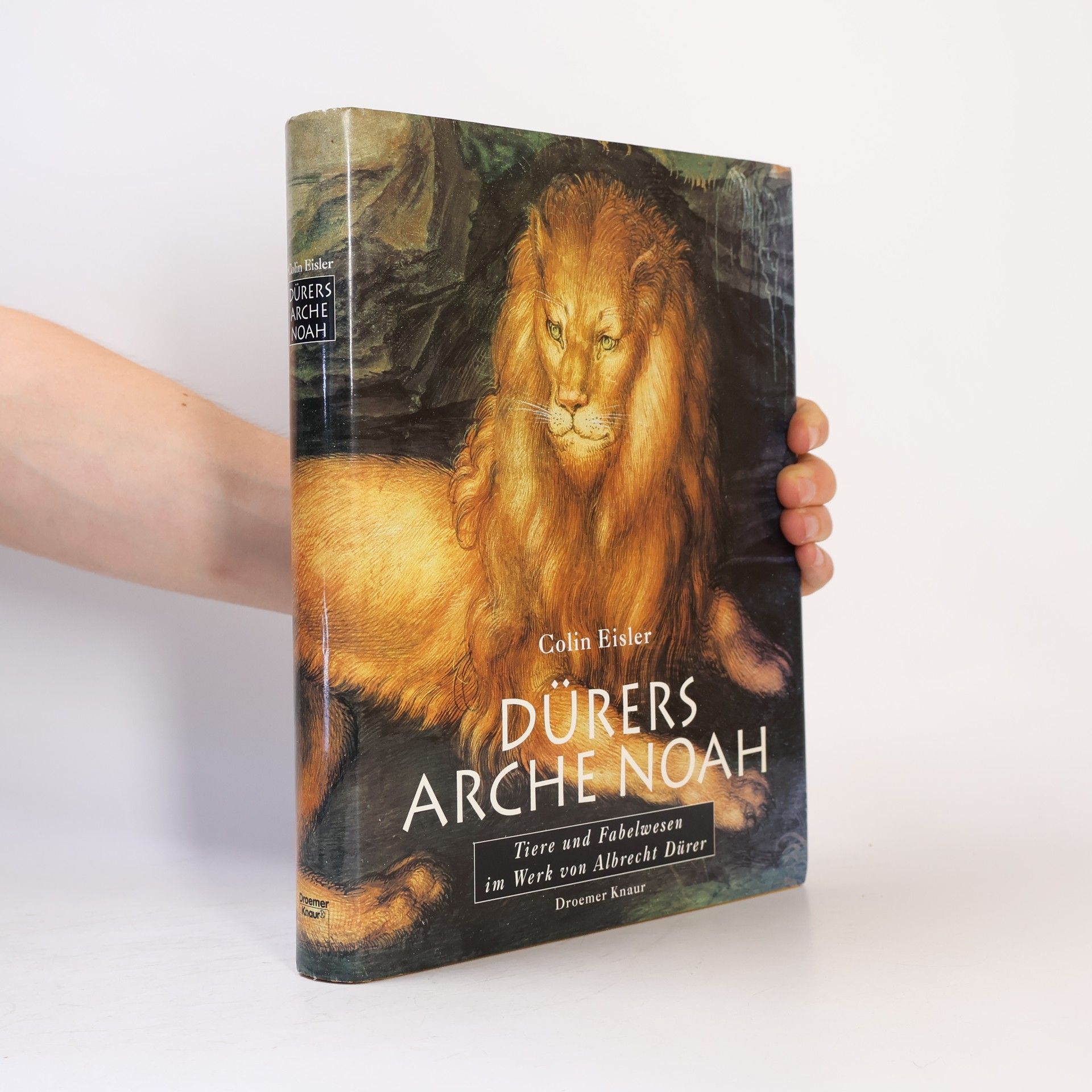 Dürers Arche Noah