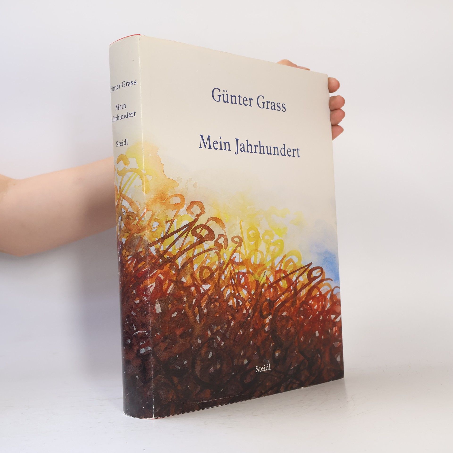 Günter Grass Mein Jahrhundert