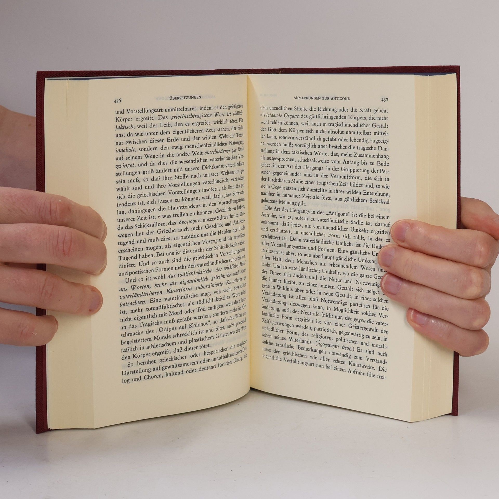 Kolektiv autorů Hölderlin I/II (20)