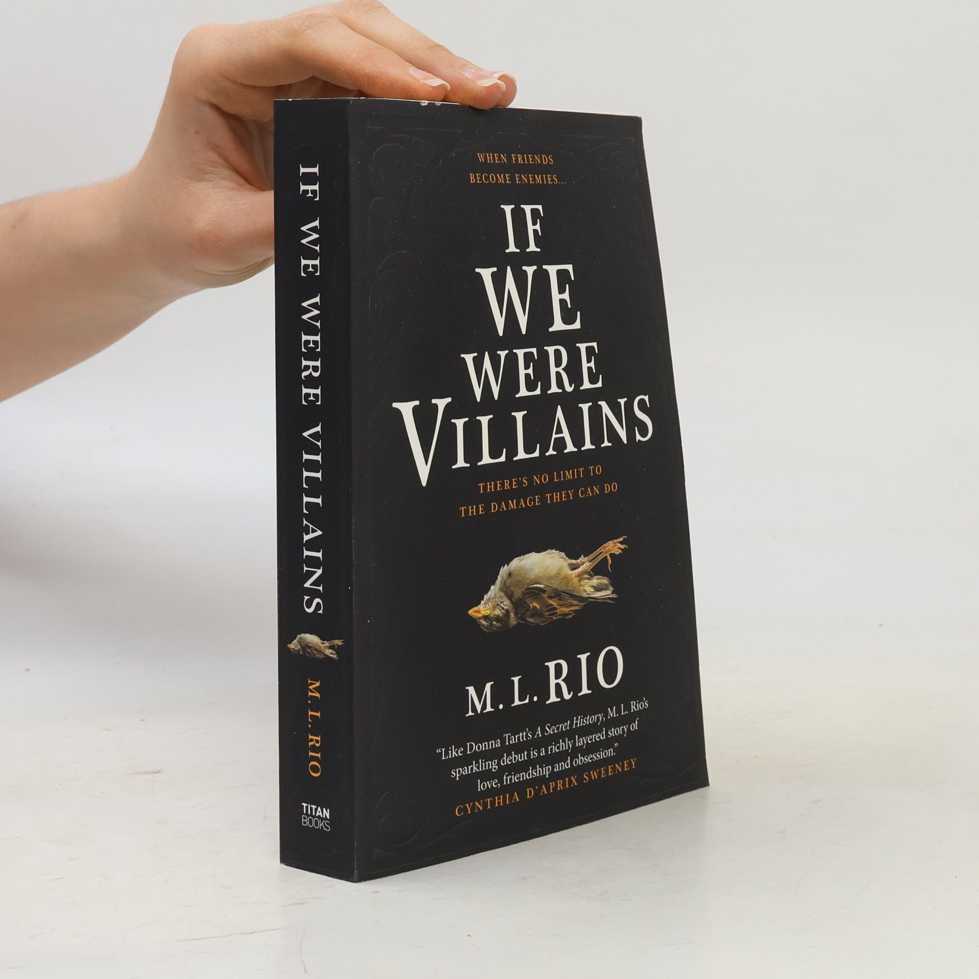 M. L. Rio If We Were Villains