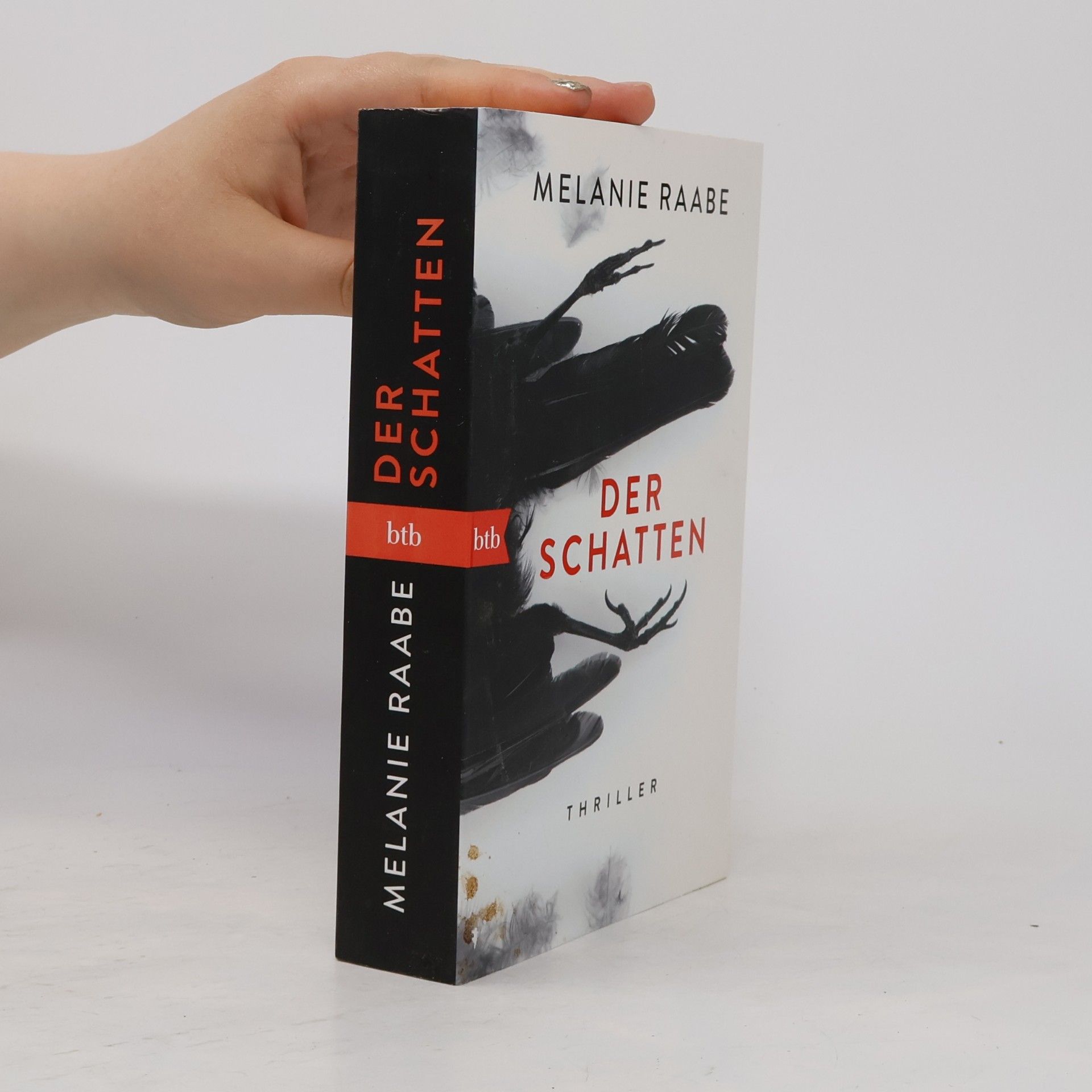 Melanie Raabe Der Schatten