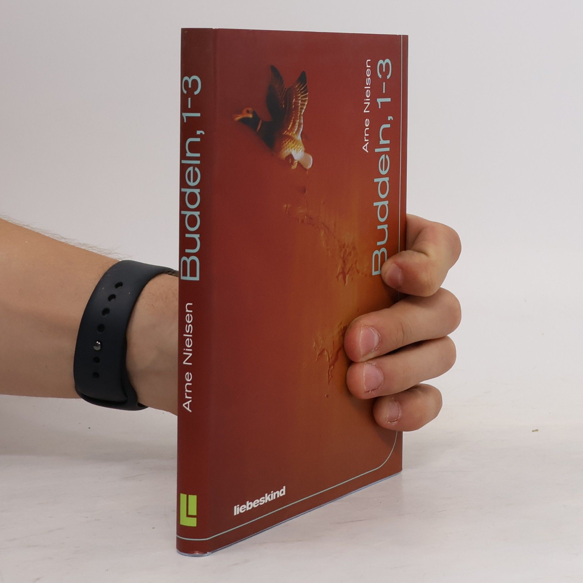 Arne Nielsen Buddeln, 1-3. Erzählungen