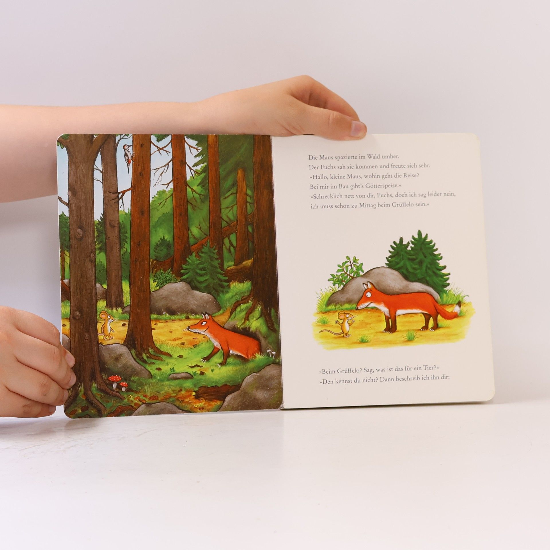 Axel Scheffler Der Grüffelo