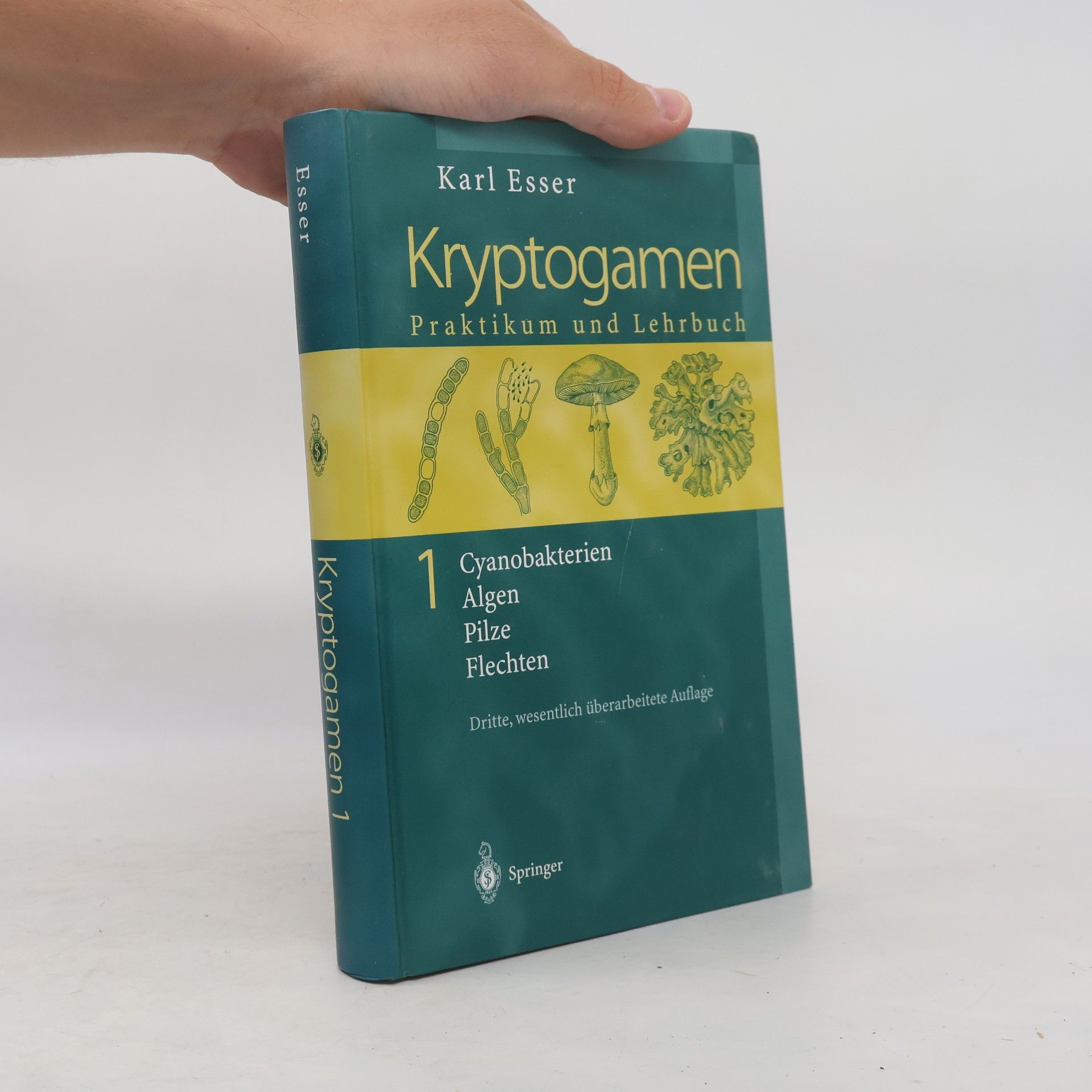 U. Stahl Kryptogamen