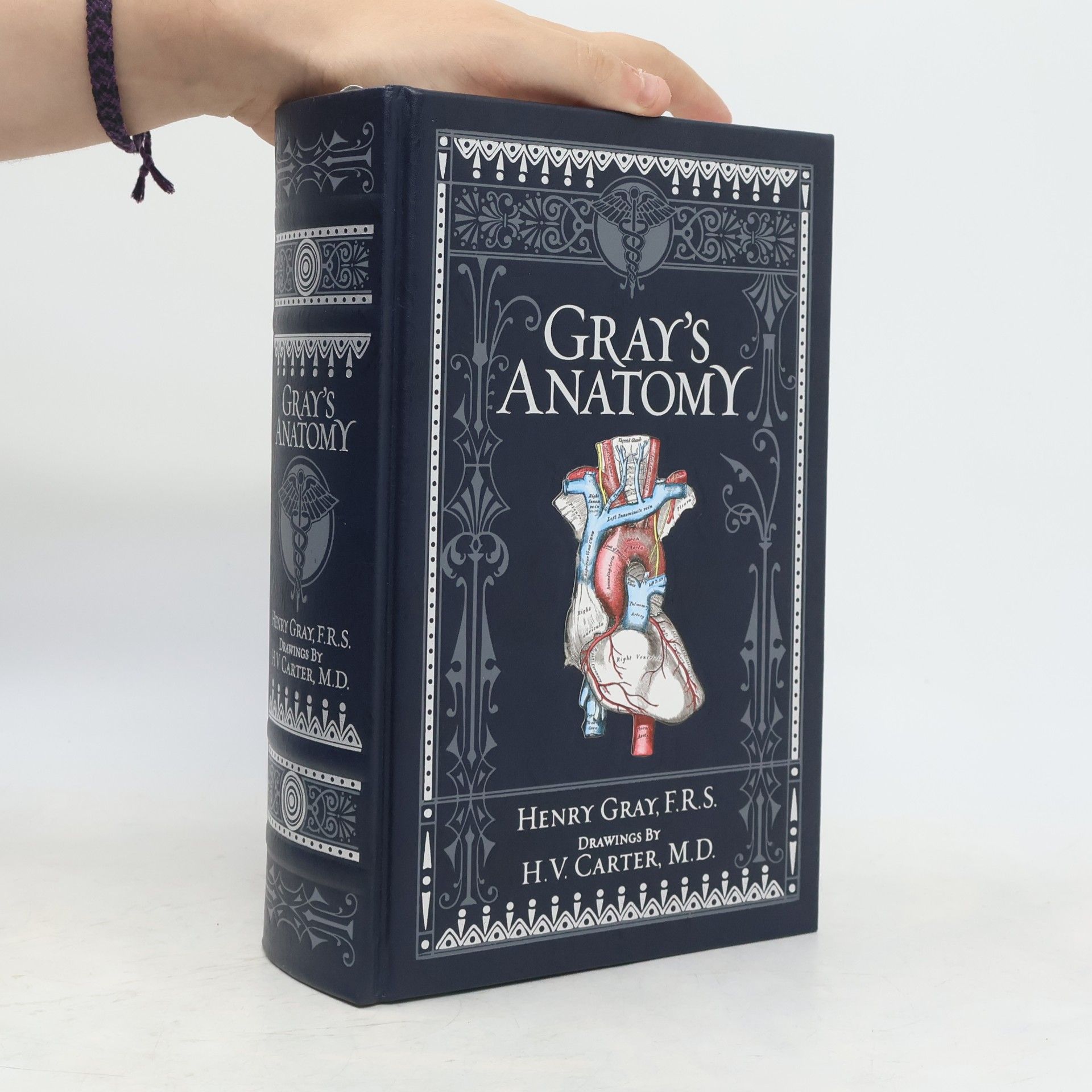 Henry Gray Gray's Anatomy