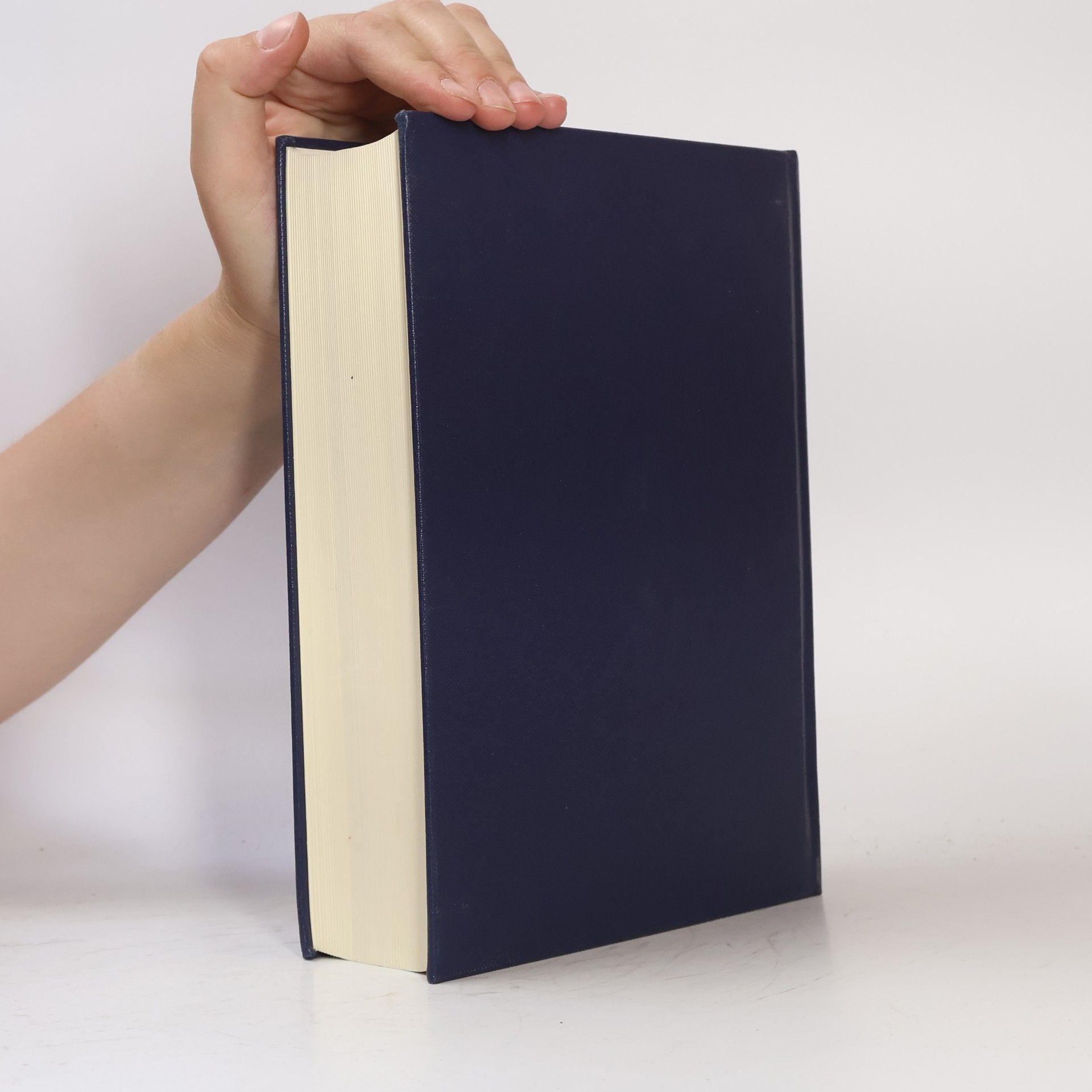 Autorenkollektiv Grosse Konkordanz zur Lutherbibel