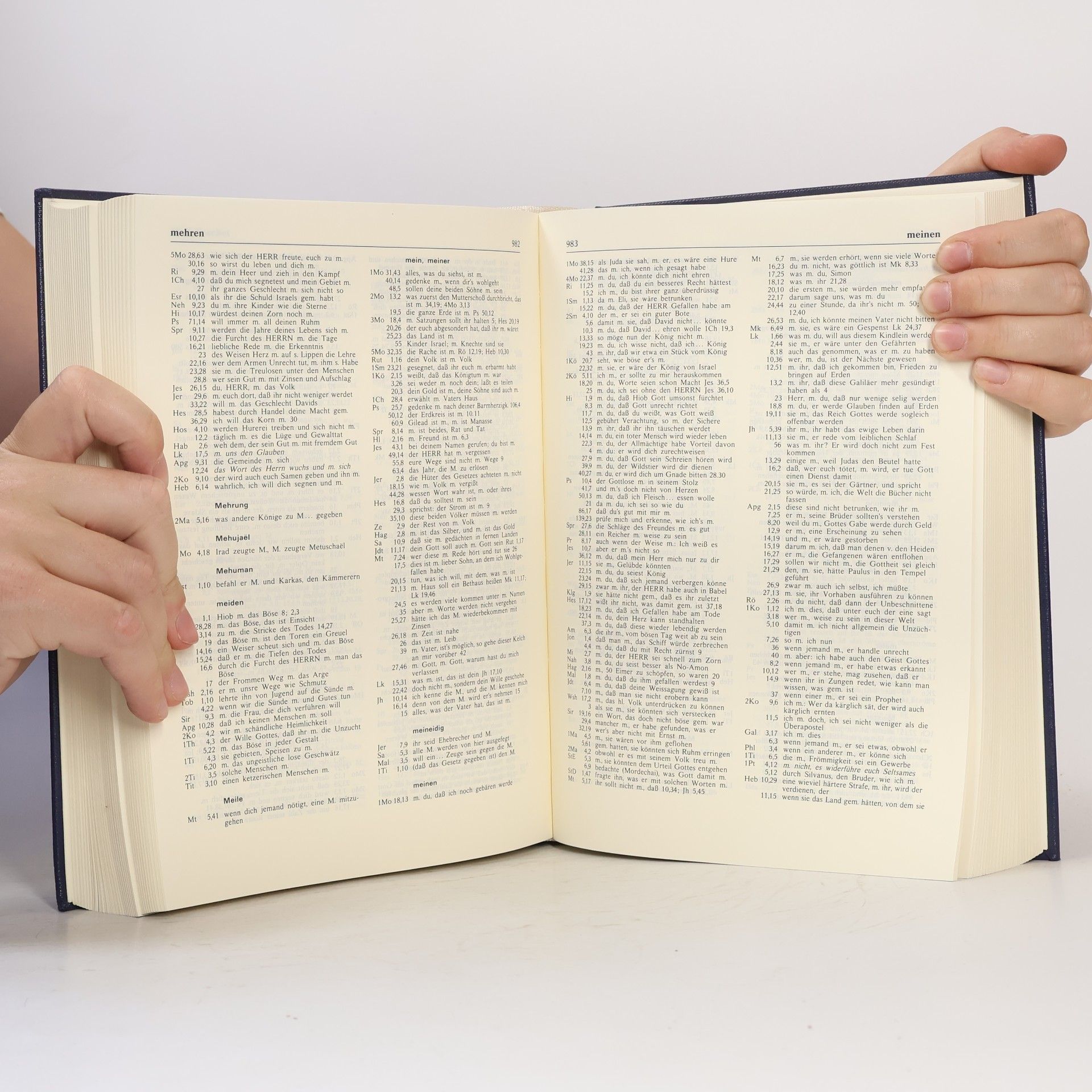 Autorenkollektiv Grosse Konkordanz zur Lutherbibel