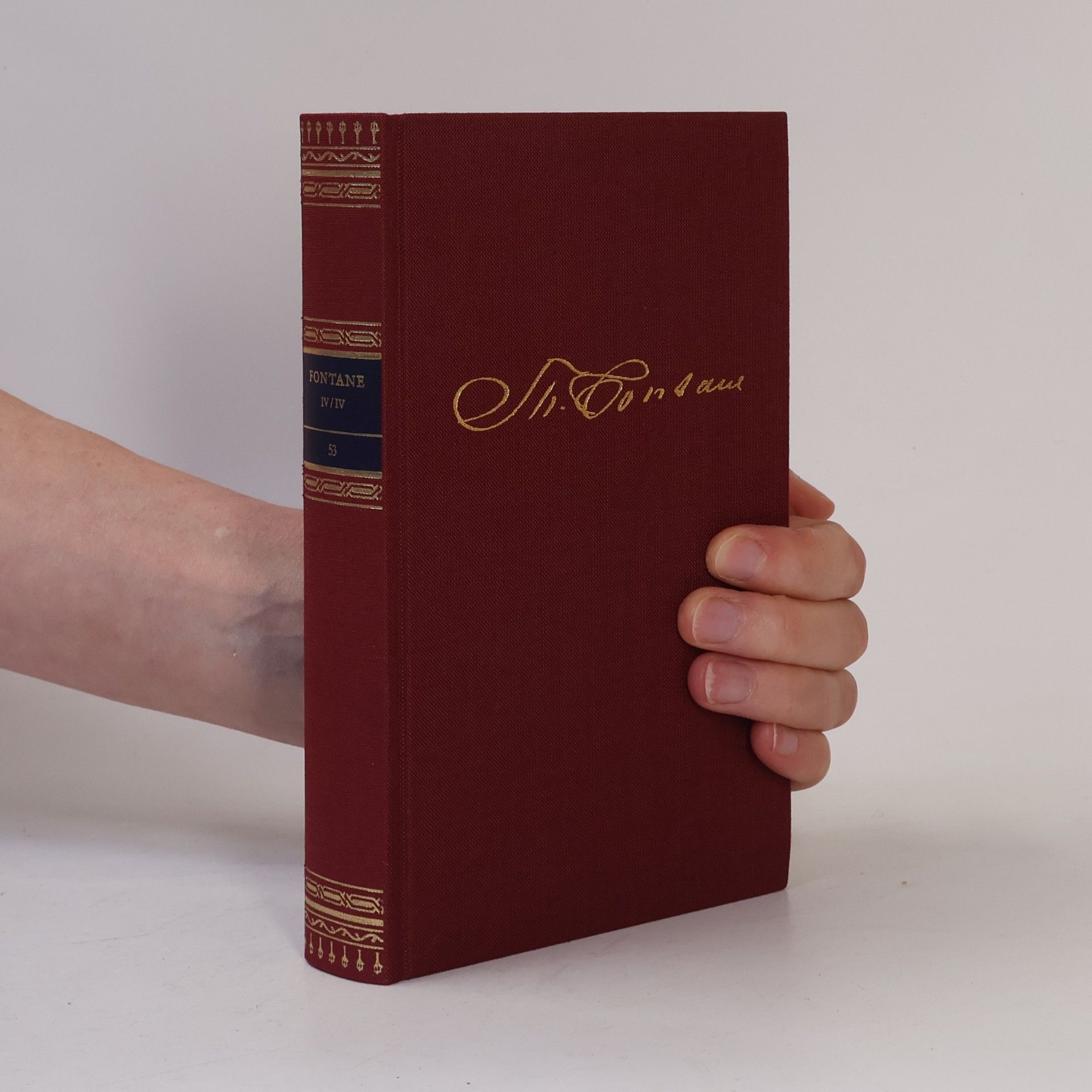 Theodor Fontane Die Bibliothek deutscher Klassiker. Band 53
