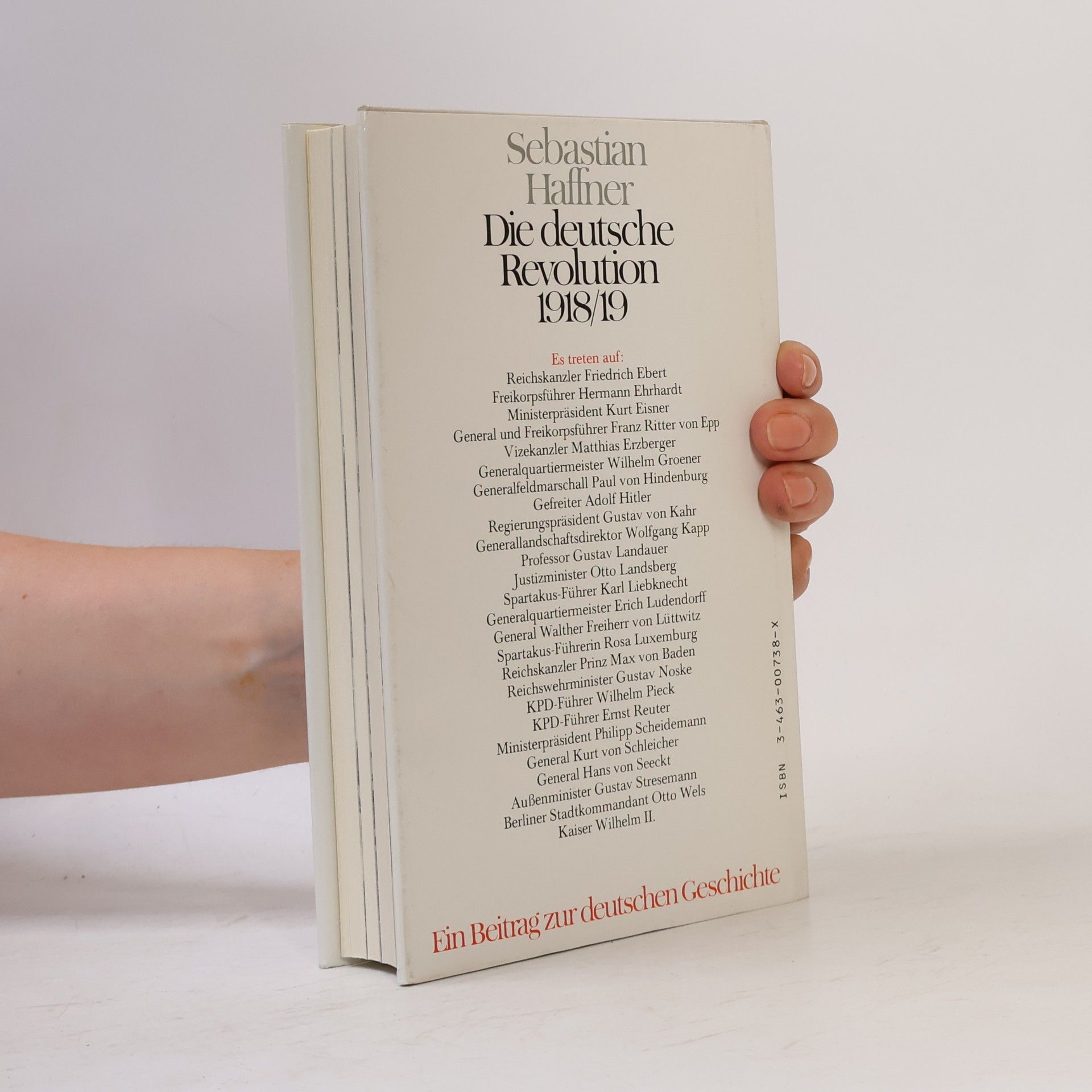 Sebastian Haffner Die deutsche Revolution 1918/19