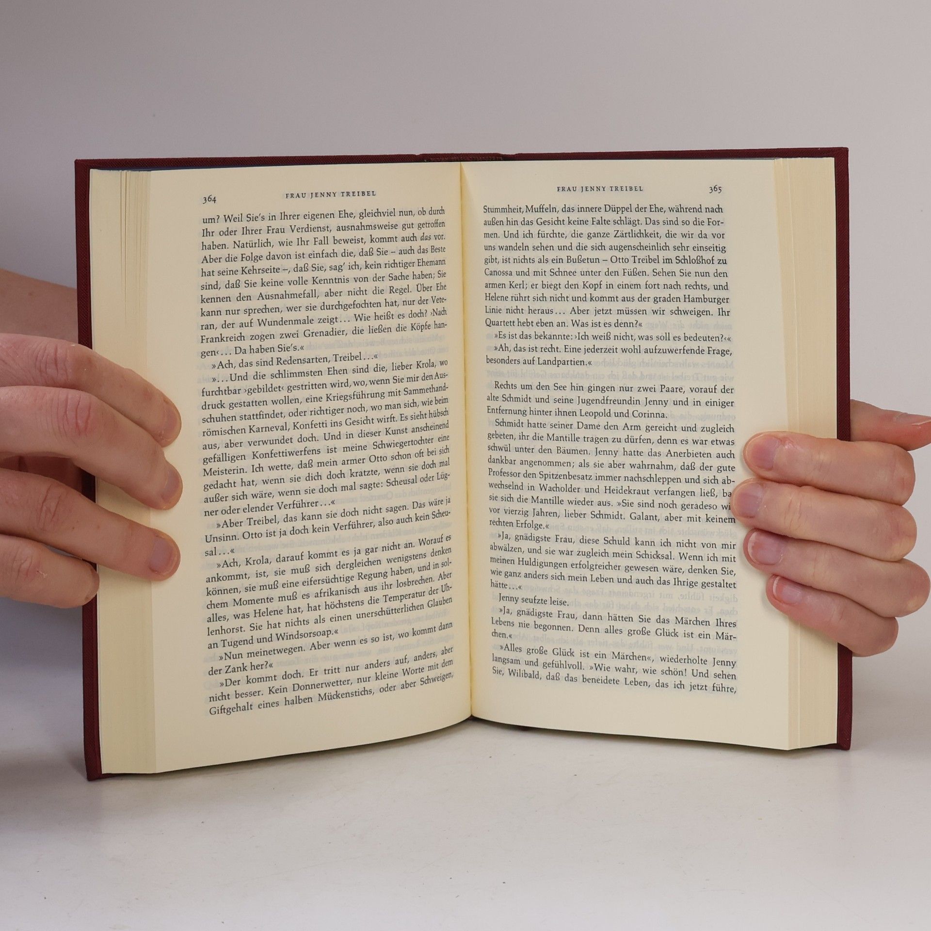 Theodor Fontane Die Bibliothek deutscher Klassiker Band 52