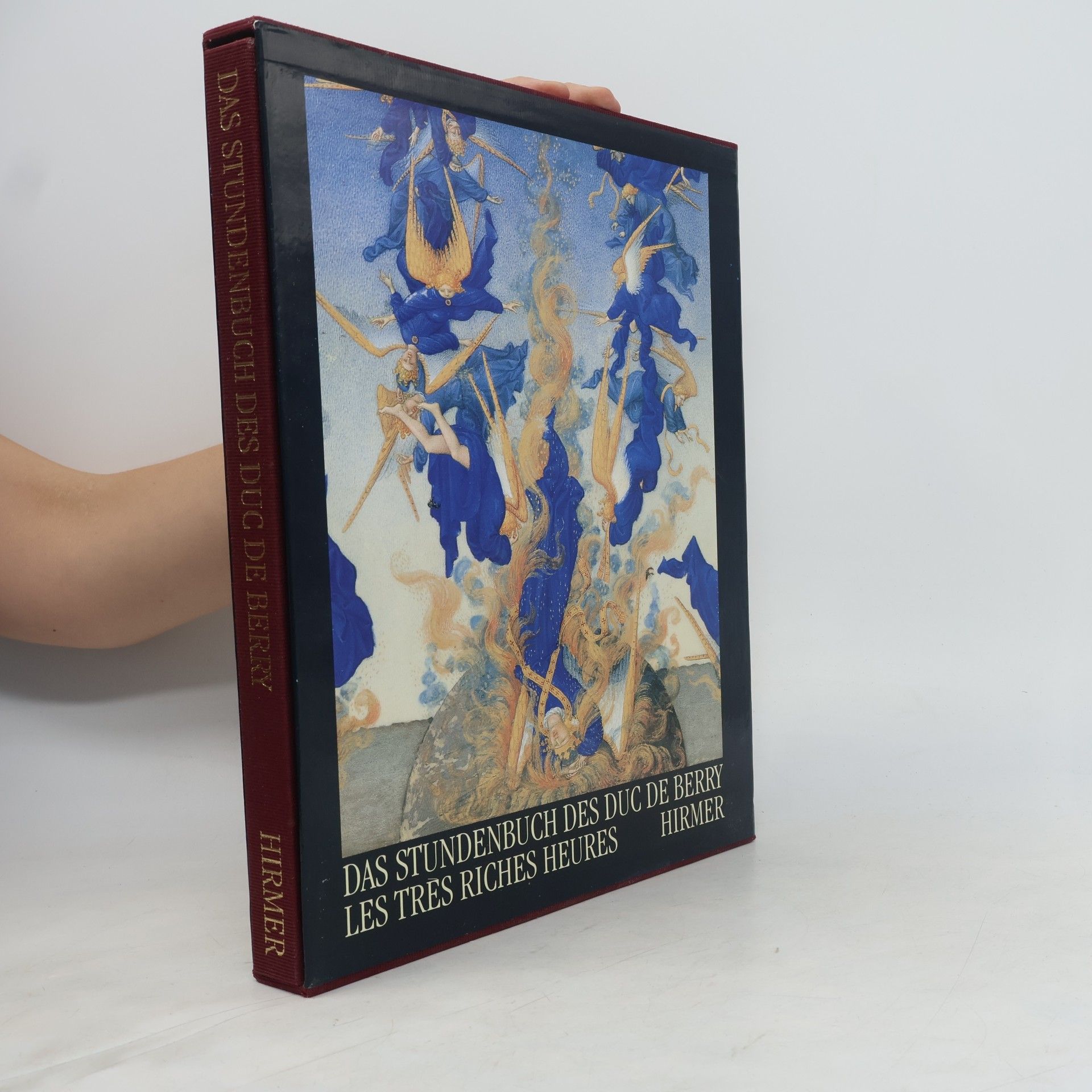 Das Stundenbuch des Duc de Berry Les très riches heures