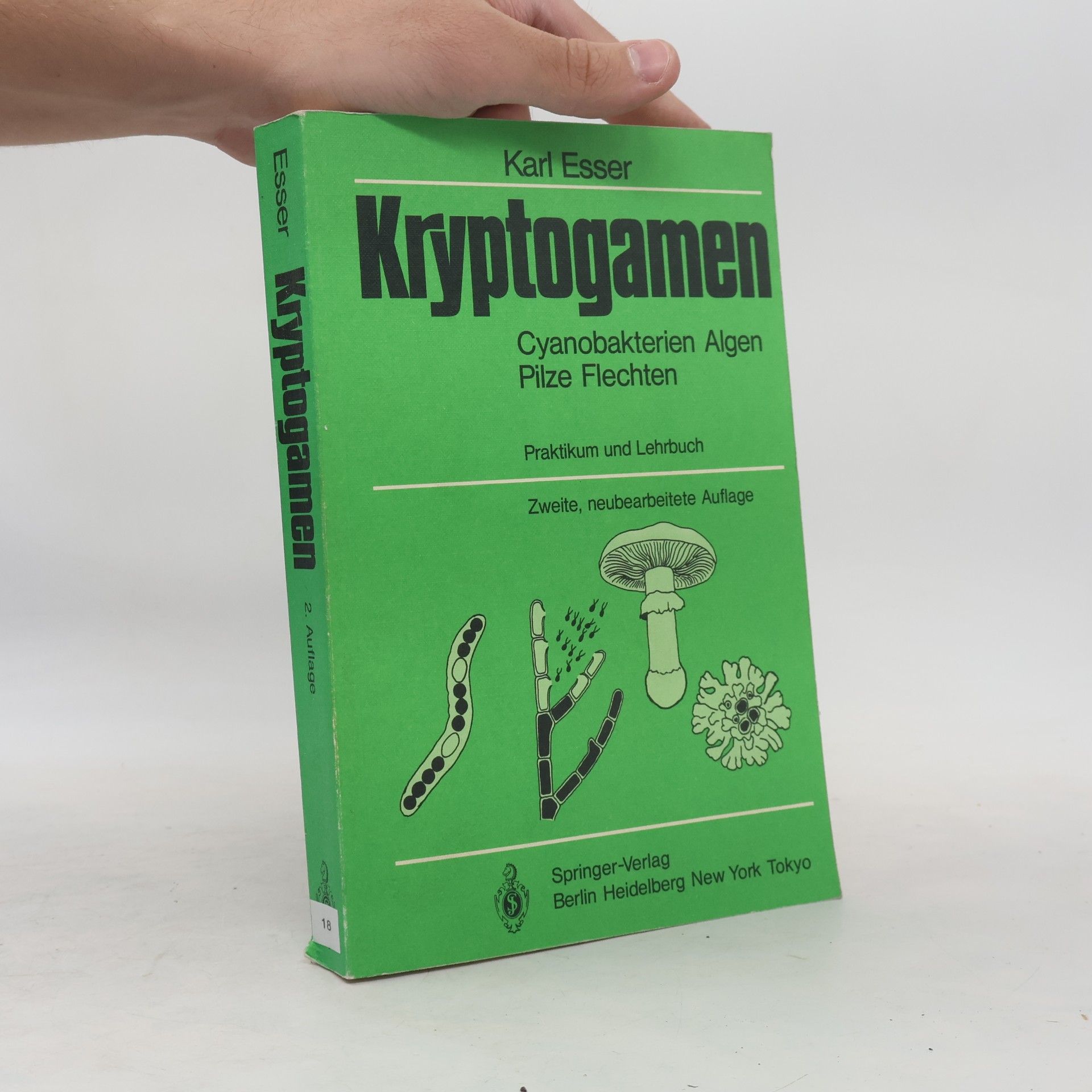 D. Graw Kryptogamen