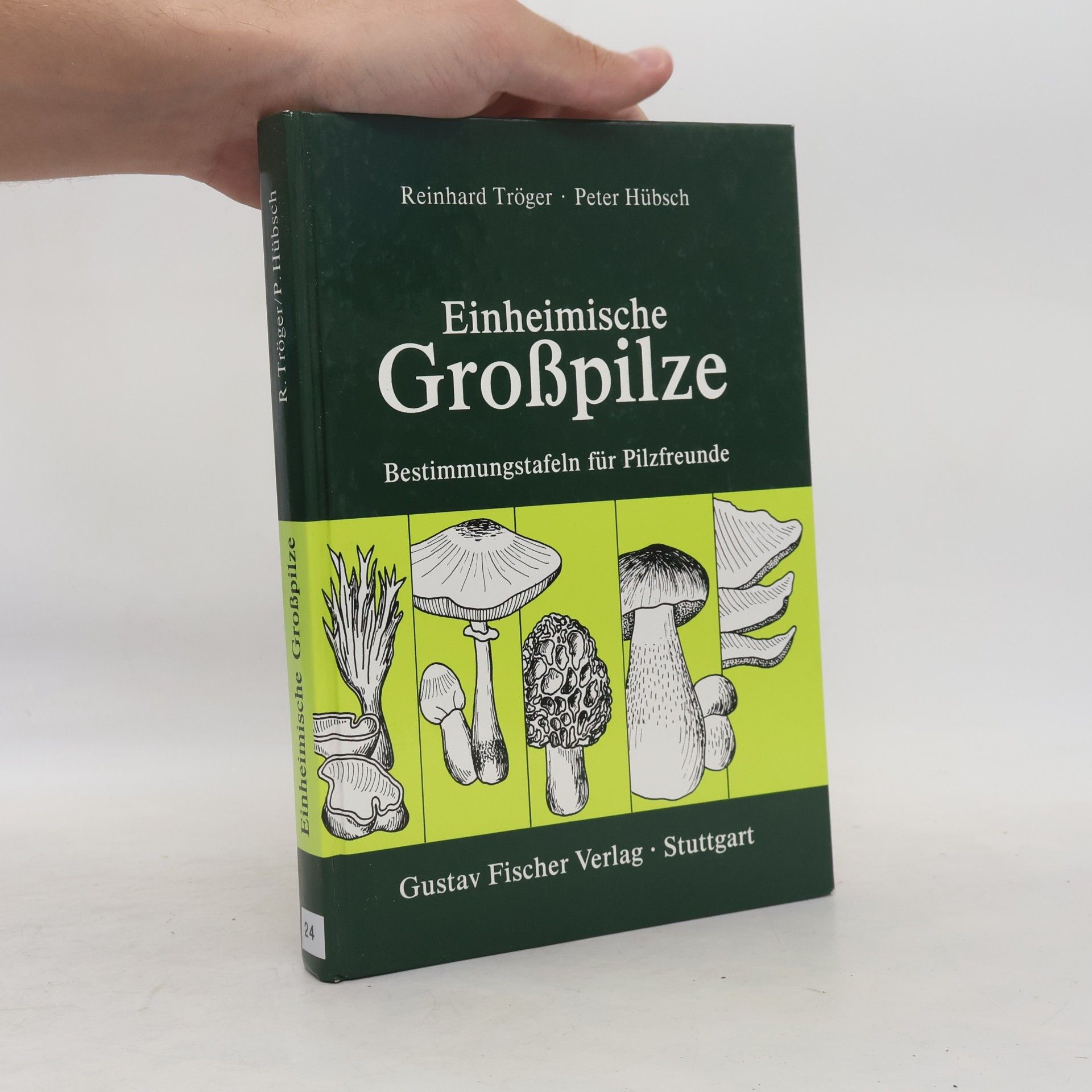 Einheimische Grosspilze