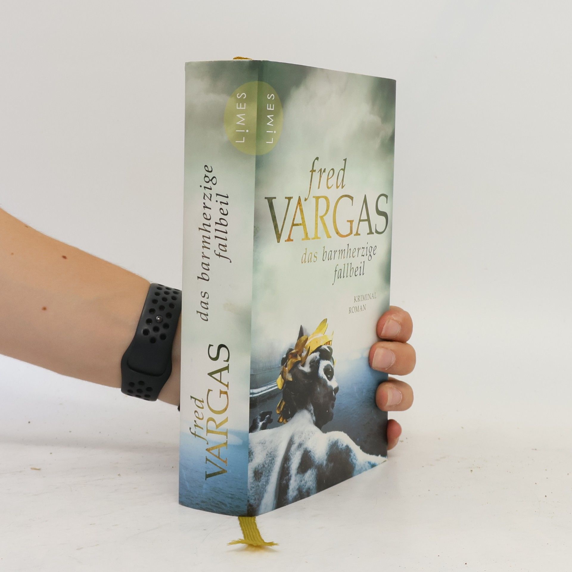 Fred Vargas Das barmherzige Fallbeil
