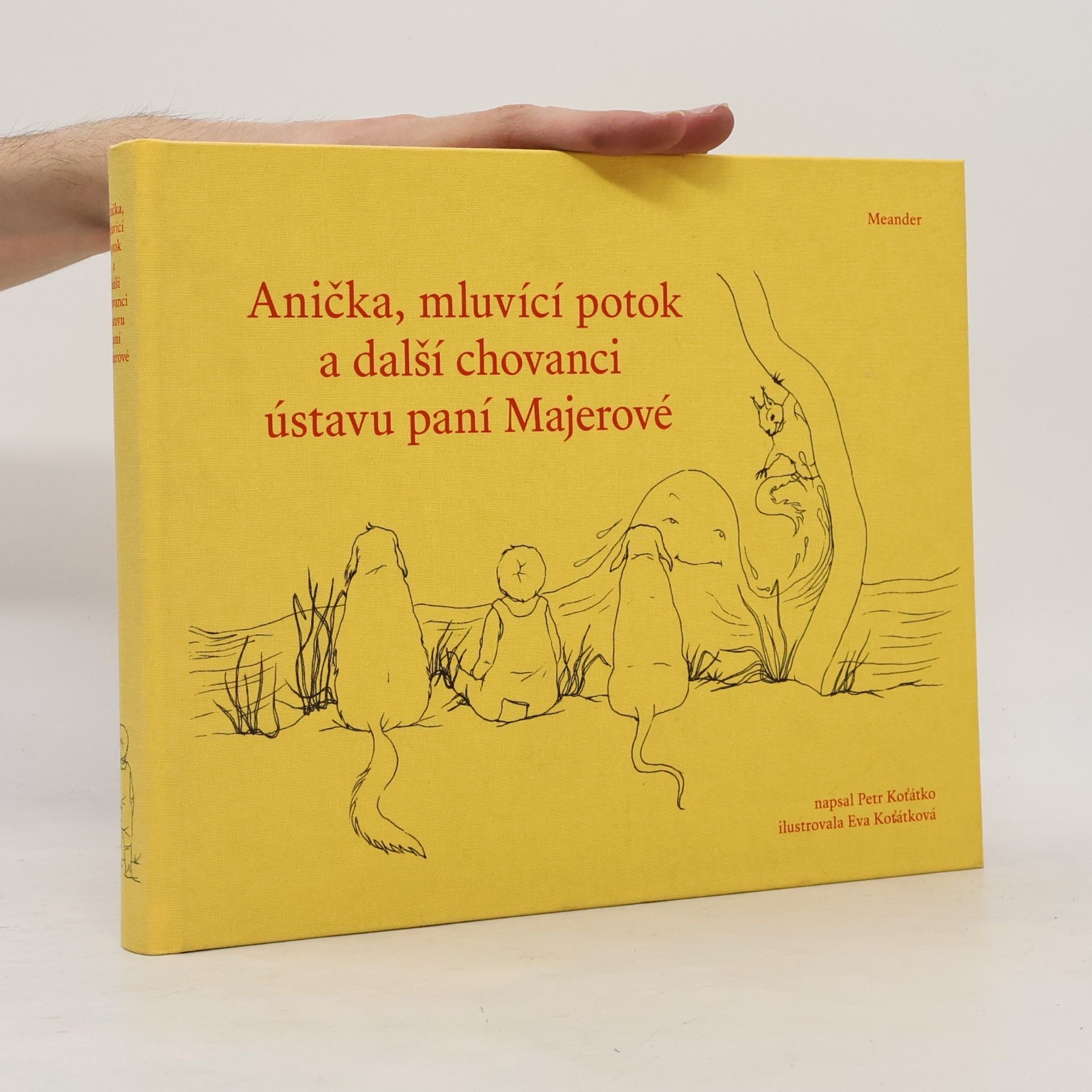 Anička, mluvící potok a další chovanci ústavu paní Majerové