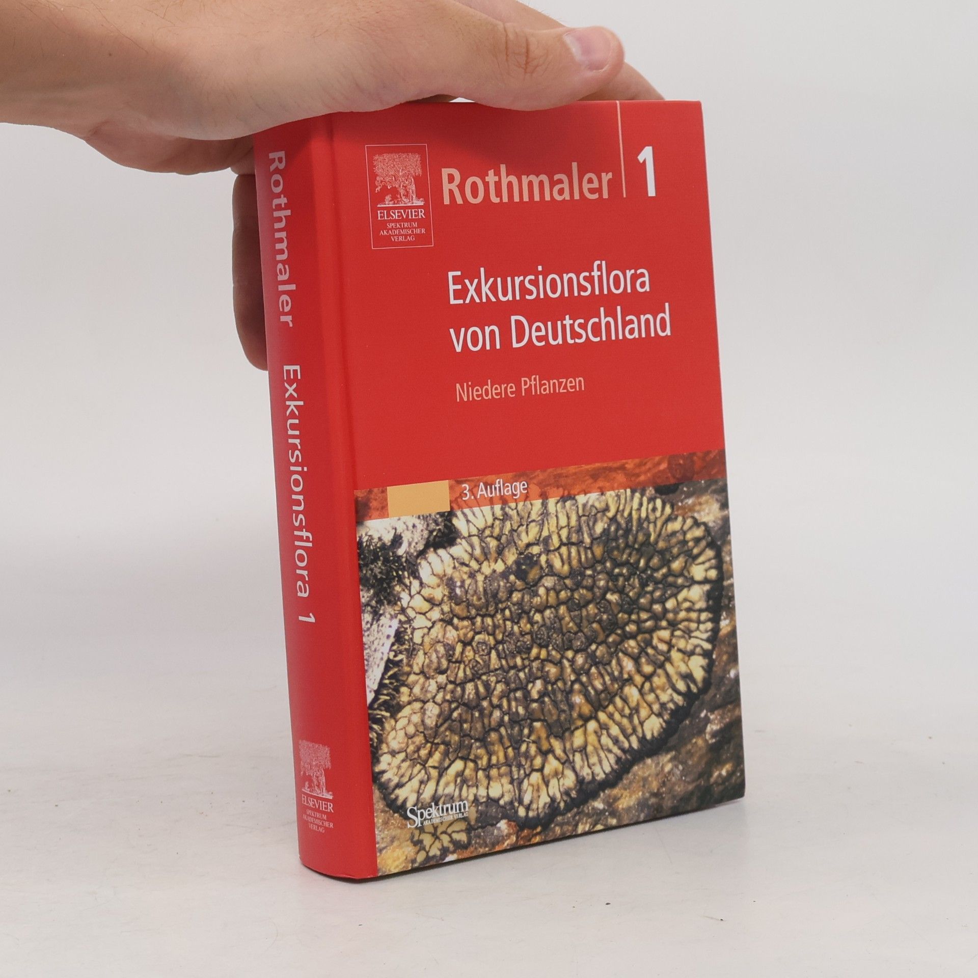 Rothmaler Rothmaler - 1: Exkursionsflora von Deutschland