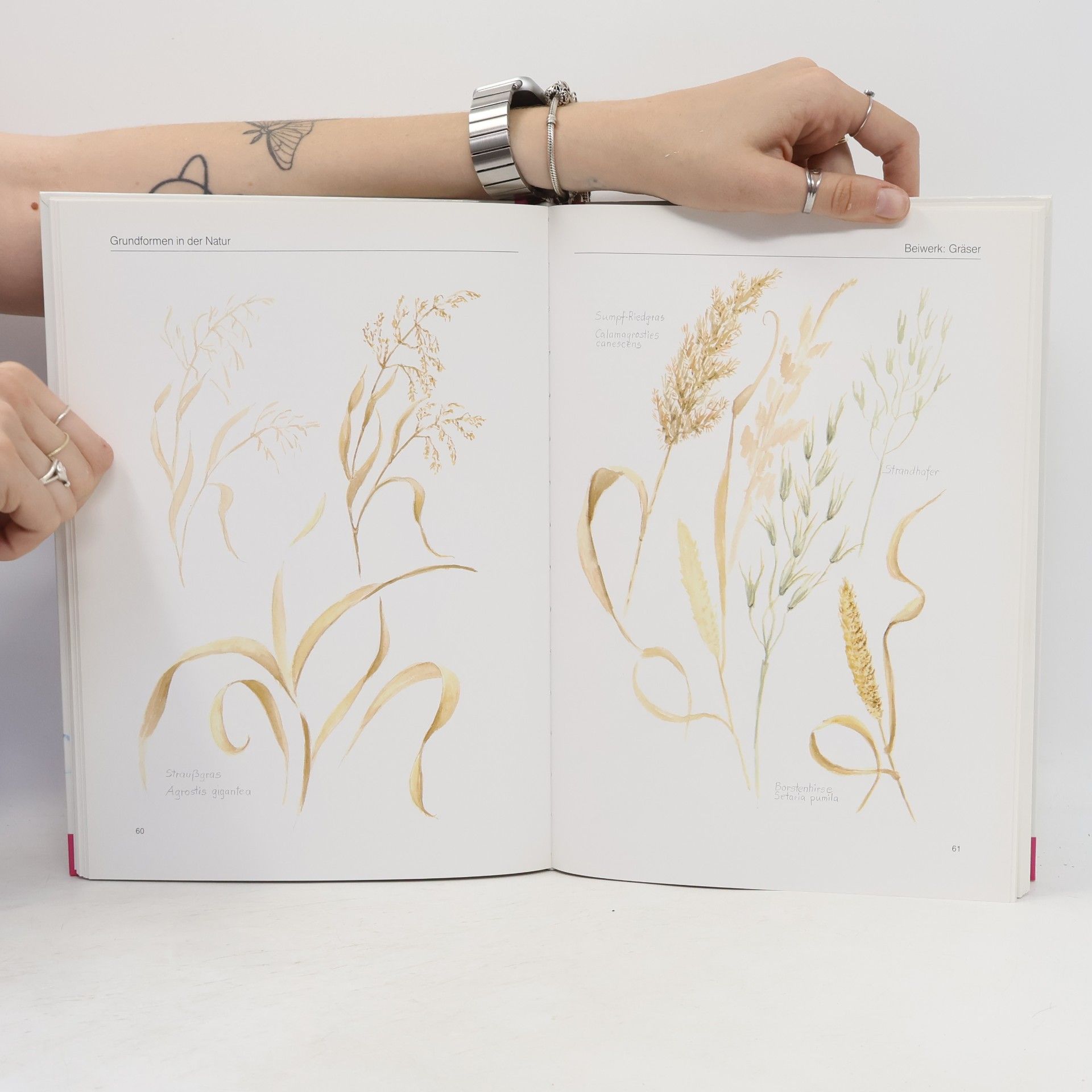 Gisela Kiessling Kuchenbuch Blumenaquarelle