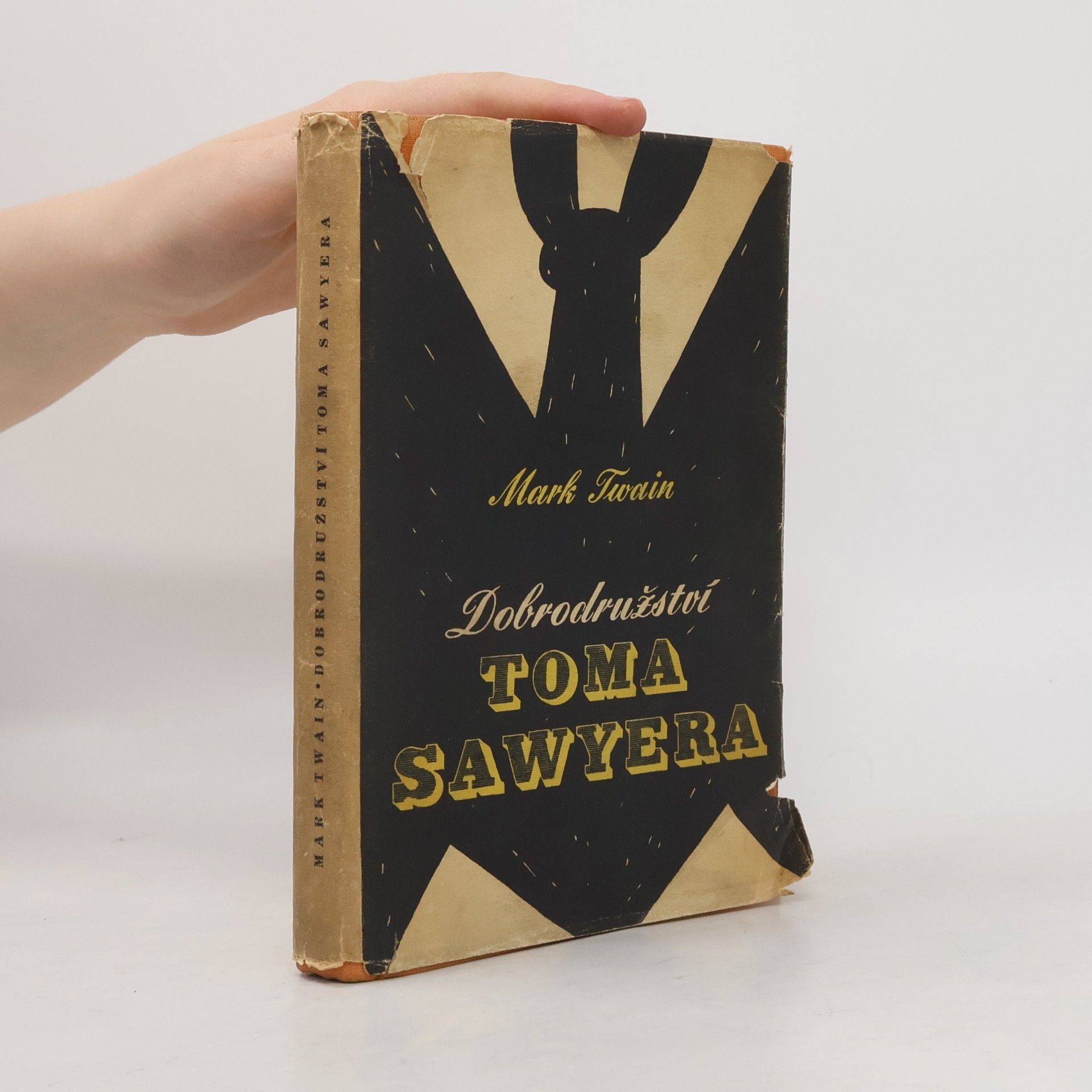 Mark Twain Dobrodružství Toma Sawyera