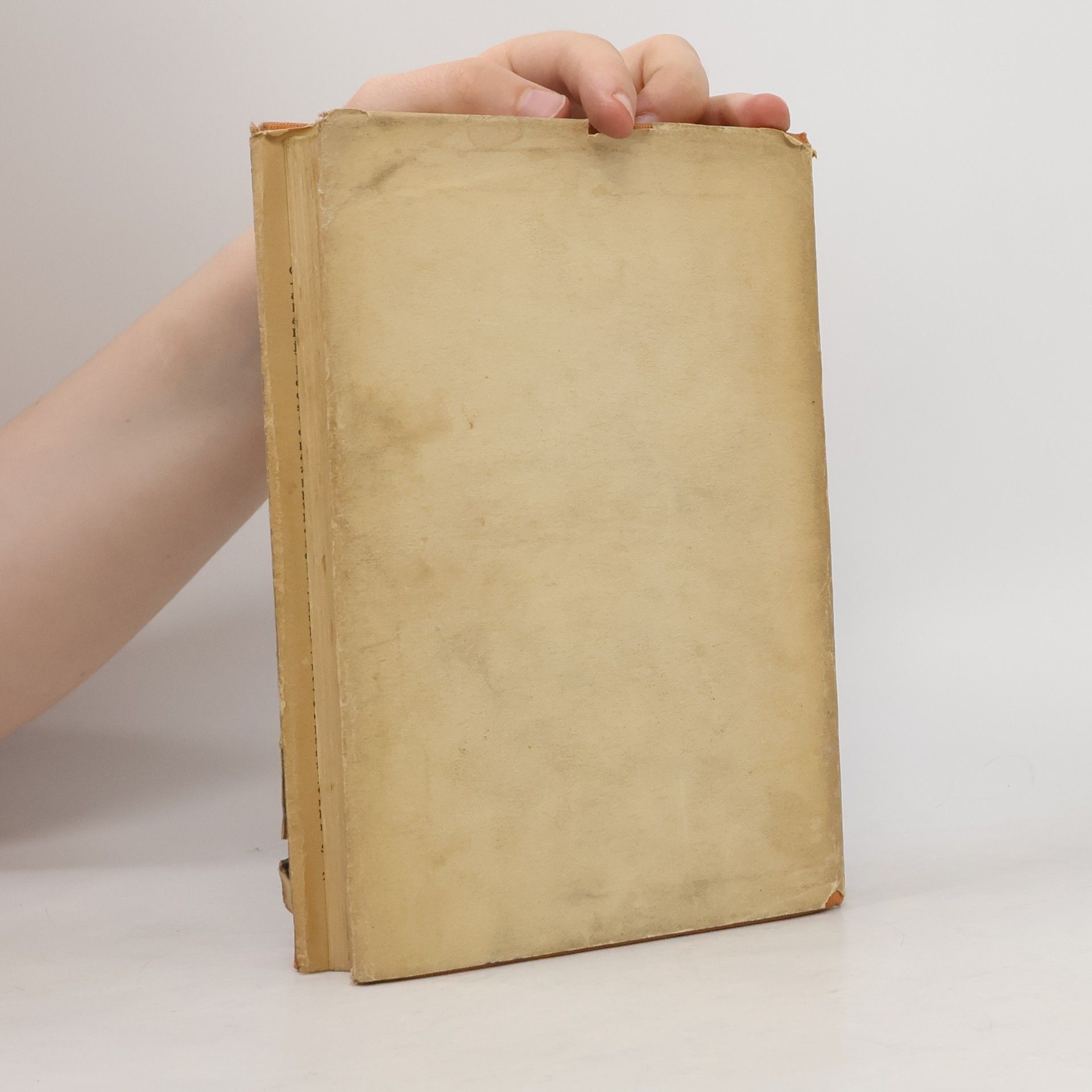 Mark Twain Dobrodružství Toma Sawyera
