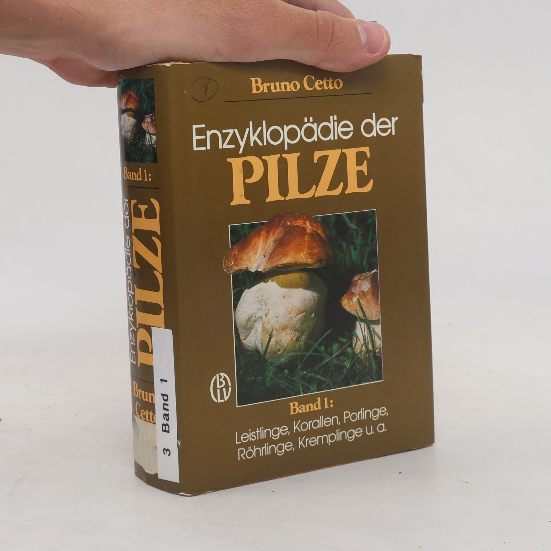 Bruno Cetto Enzyklopädie der Pilze